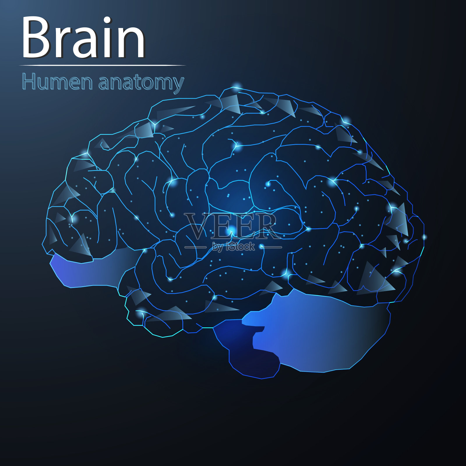 人体大脑解剖器官半透明低聚三角形未来发光插画图片素材