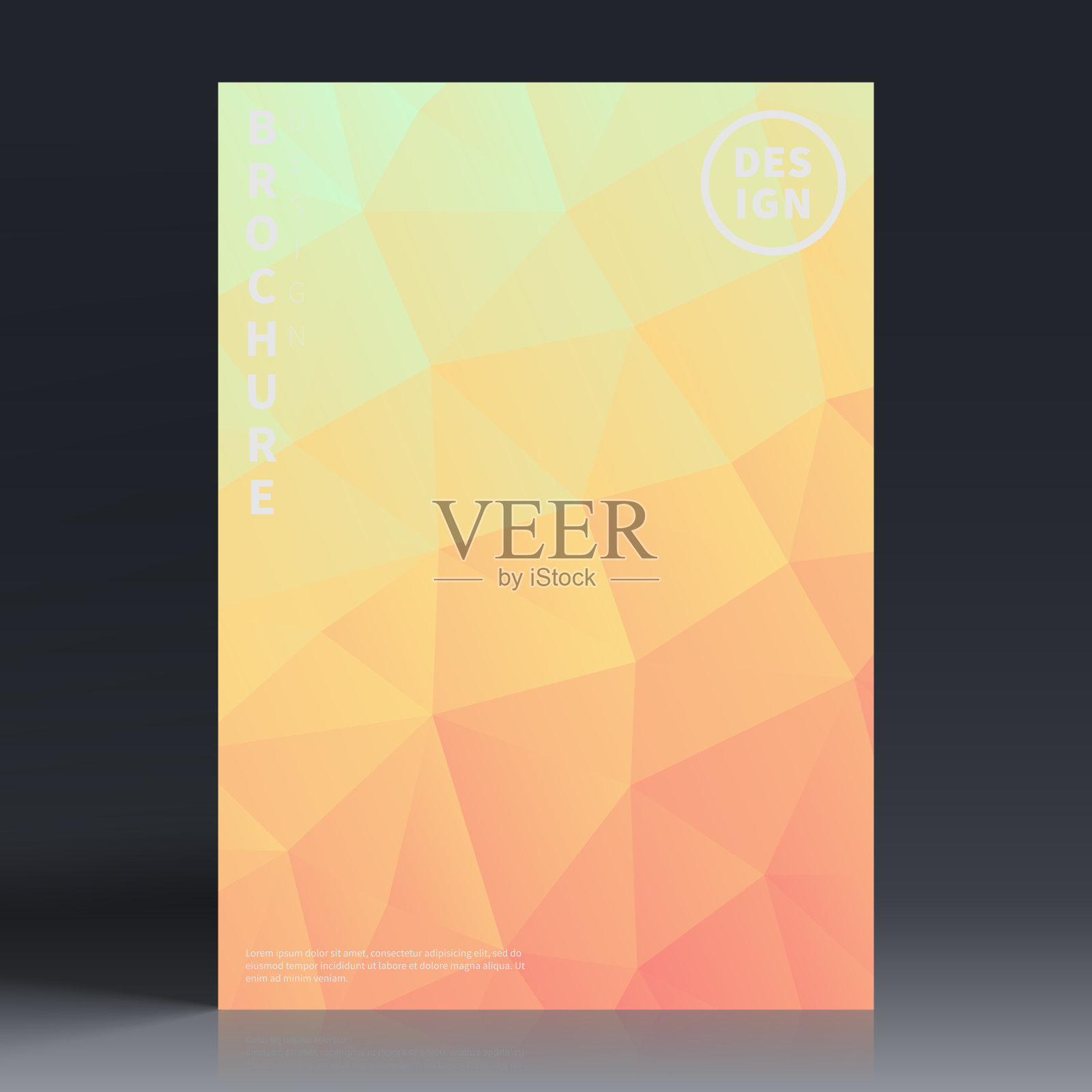 宣传册模板排版，橙色封面设计，商业年报，传单，杂志插画图片素材