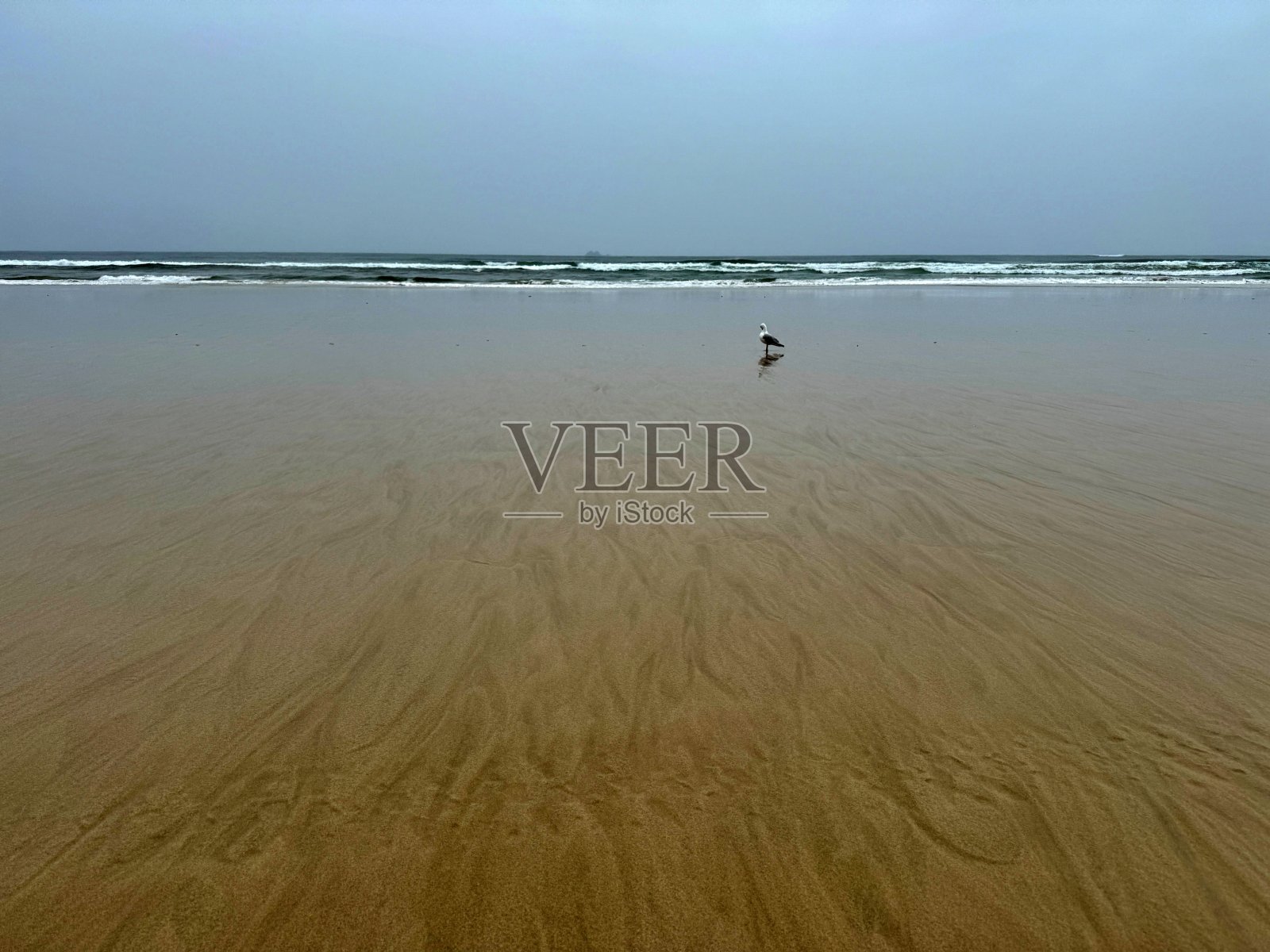 拜伦湾早晨照片摄影图片