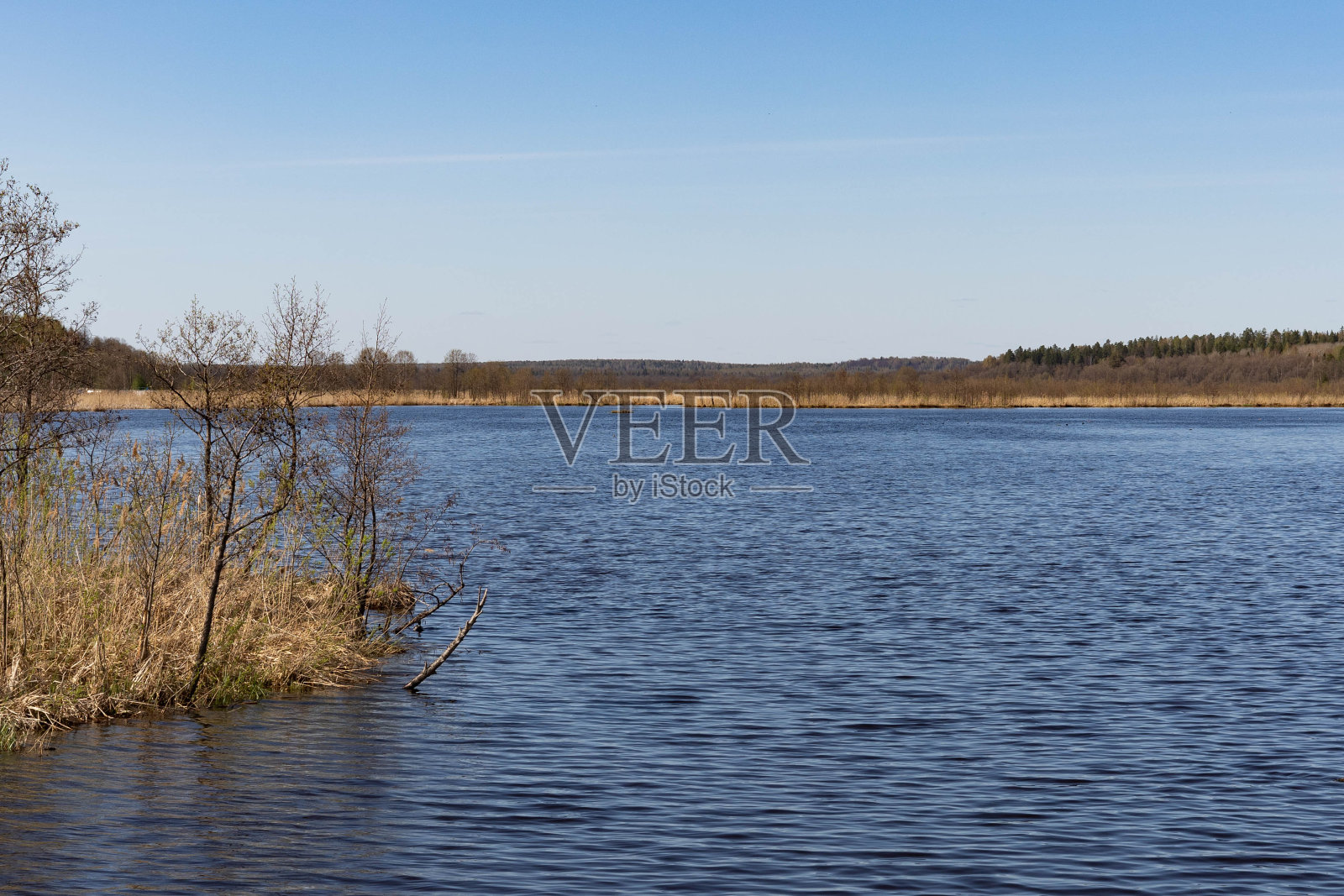 春天的河流和河岸照片摄影图片