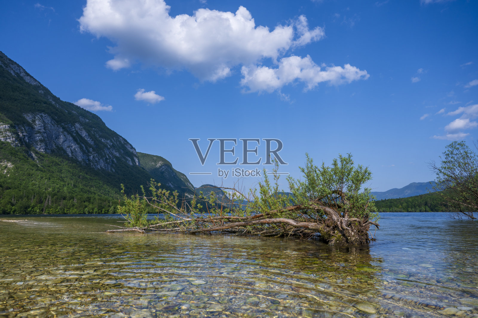 春天，斯洛文尼亚特里格拉夫国家公园的博希尼湖附近的萨维卡河照片摄影图片