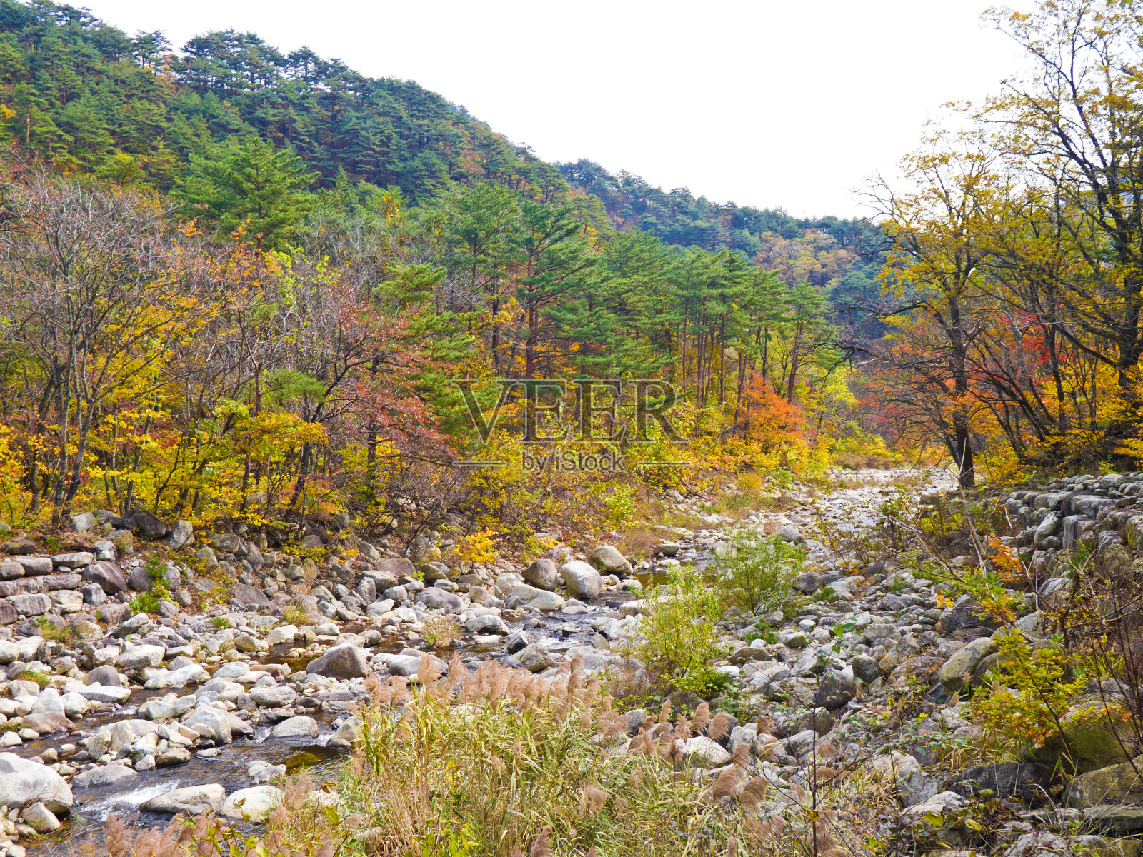 韩国雪岳山山脉的景观。照片摄影图片