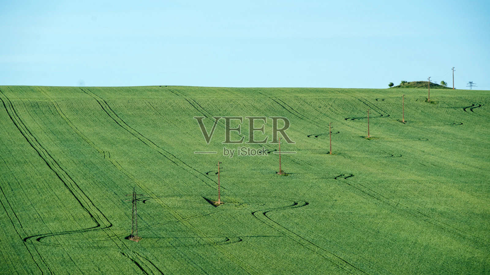 有车辆痕迹的绿色农田照片摄影图片