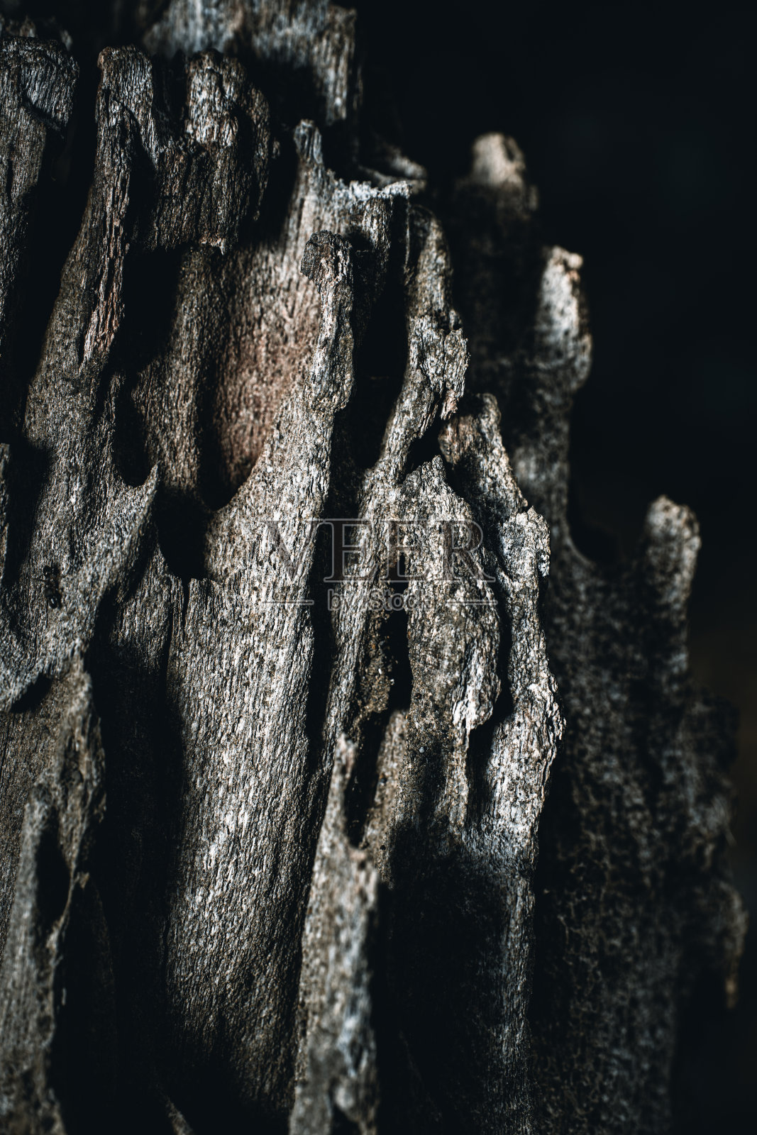 特写图像描绘粗糙照片摄影图片