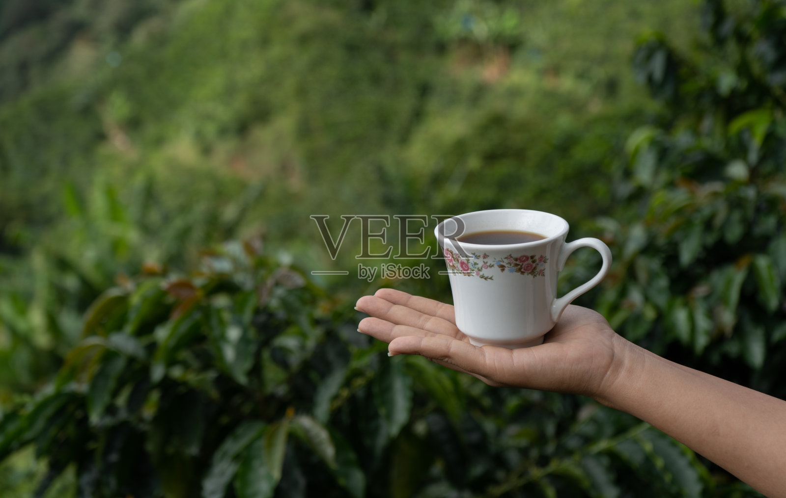 拿杯子的人的手照片摄影图片