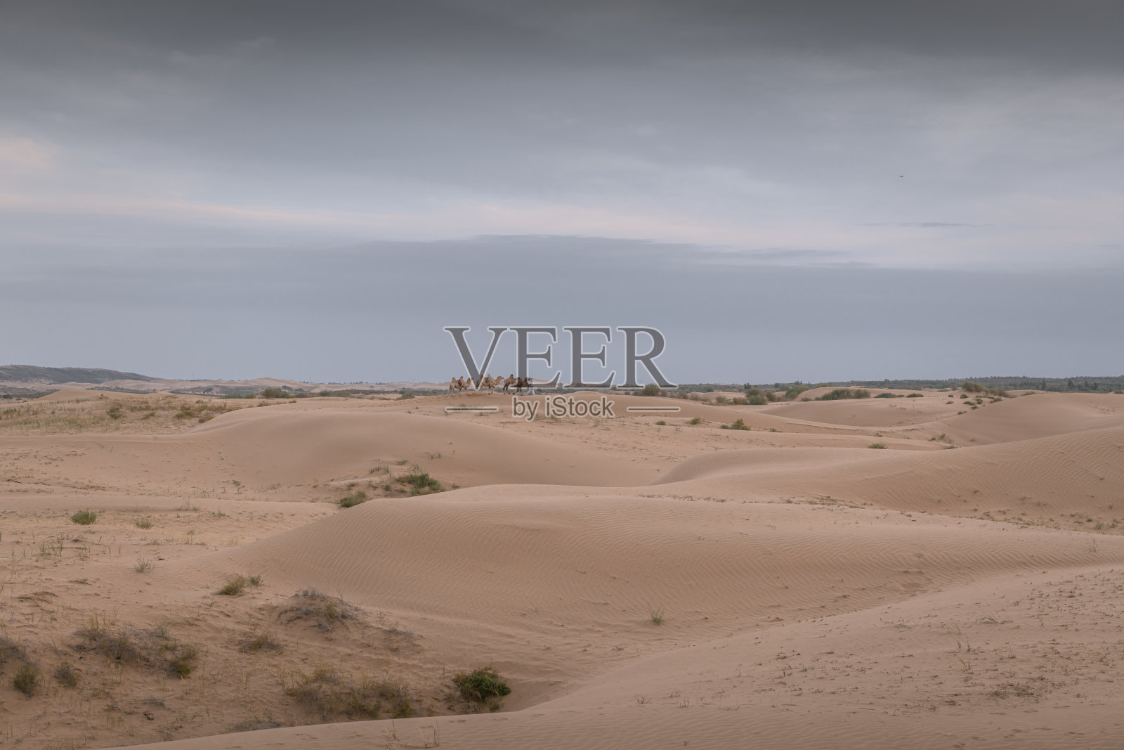 中国巴丹吉林沙漠垂直景观照片摄影图片