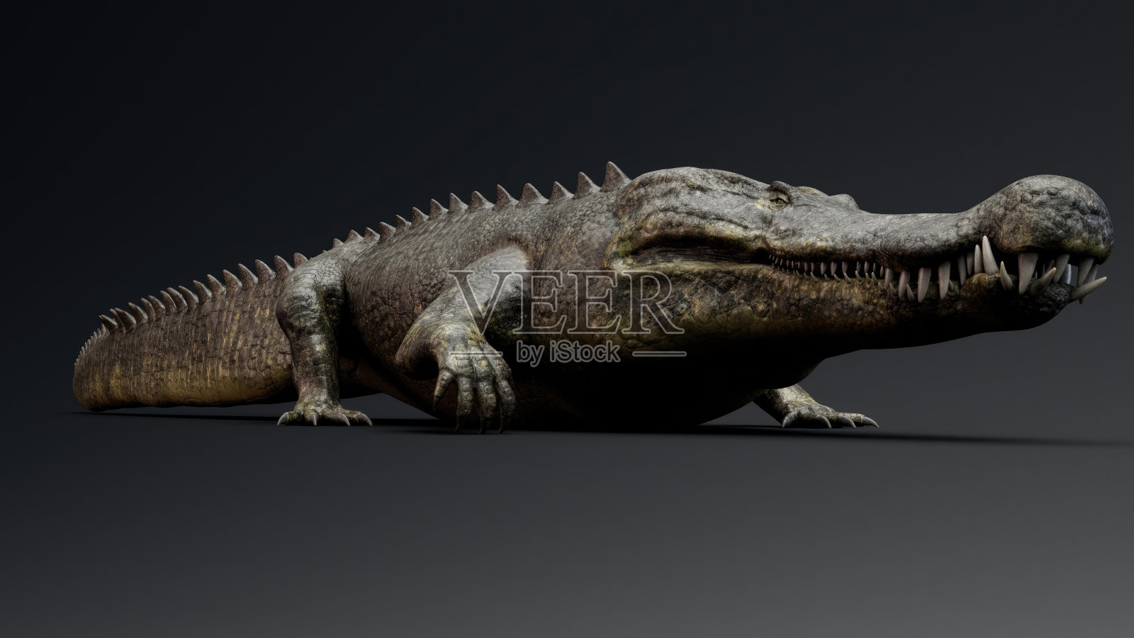恐爪龙大鳄鱼模型的背景，3d渲染照片摄影图片