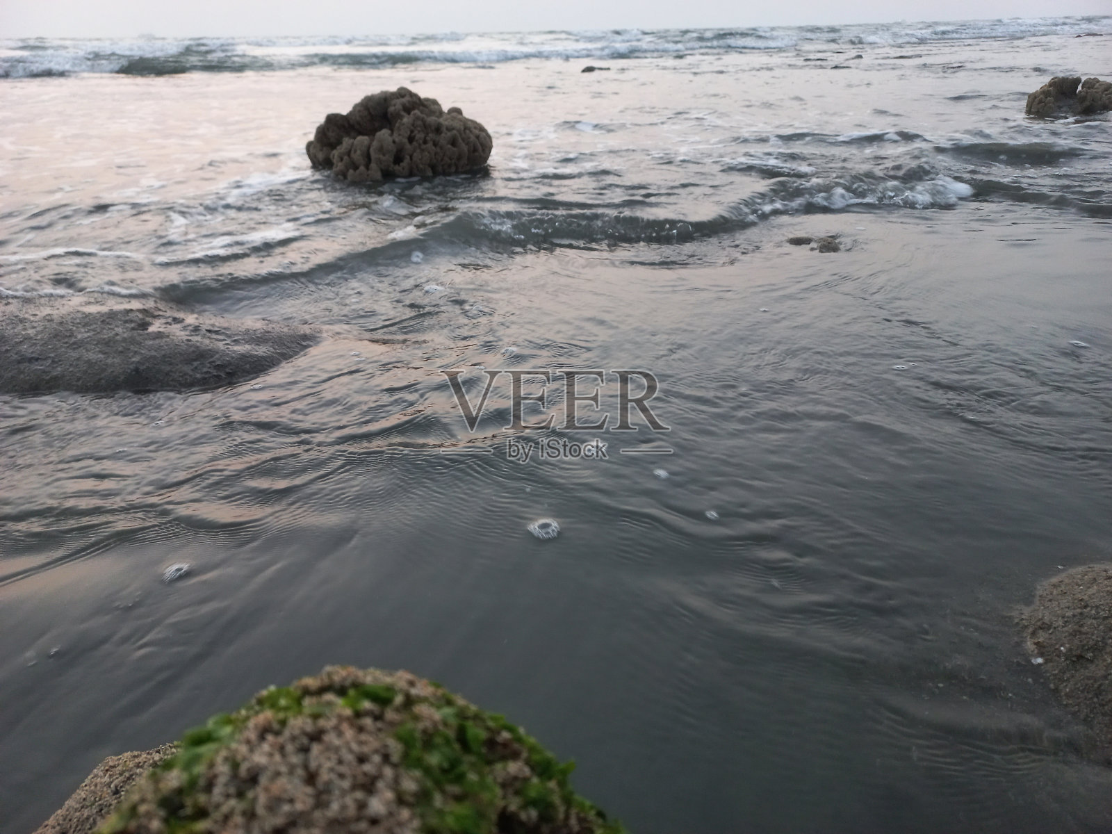 珊瑚产卵照片摄影图片