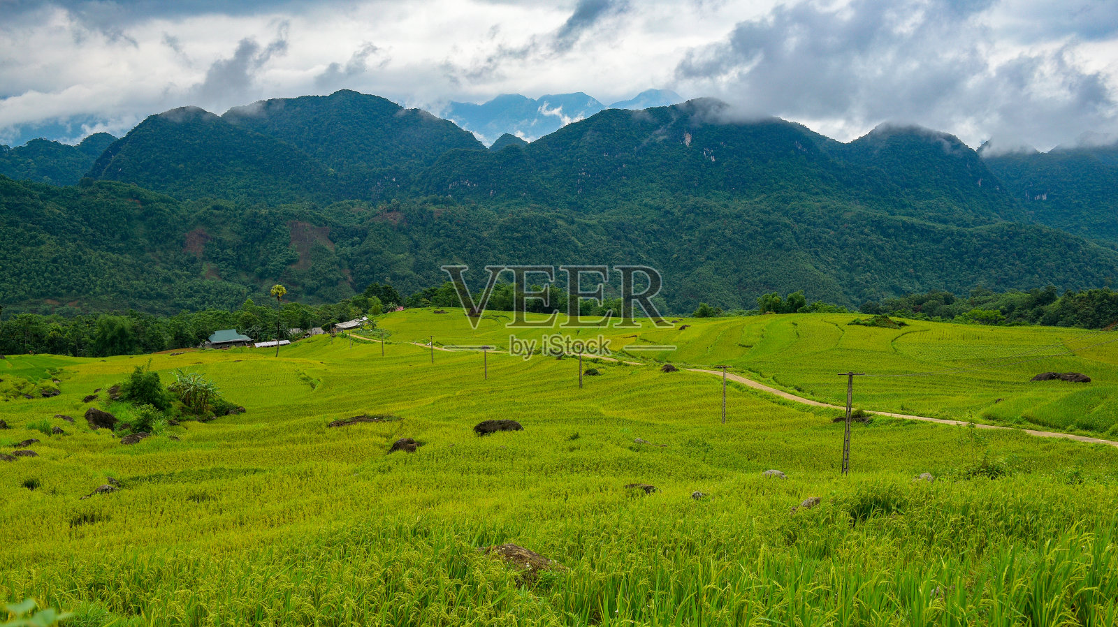 蒲隆自然保护区位于越南清化省西北部的巴托和泉化地区照片摄影图片