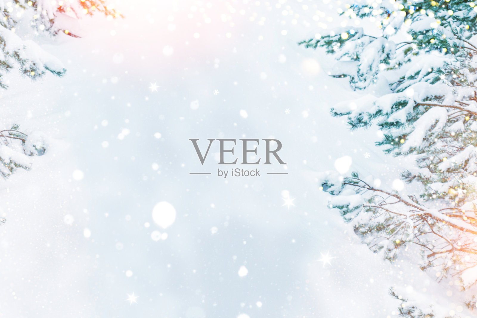 模糊。景观。冰冻的冬季森林，树木被雪覆盖。照片摄影图片