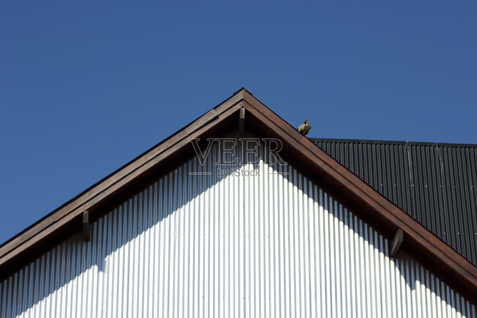 屋顶上的雪照片摄影图片
