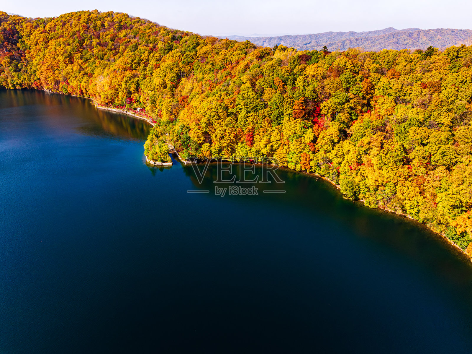 火山森林公园的秋景照片摄影图片