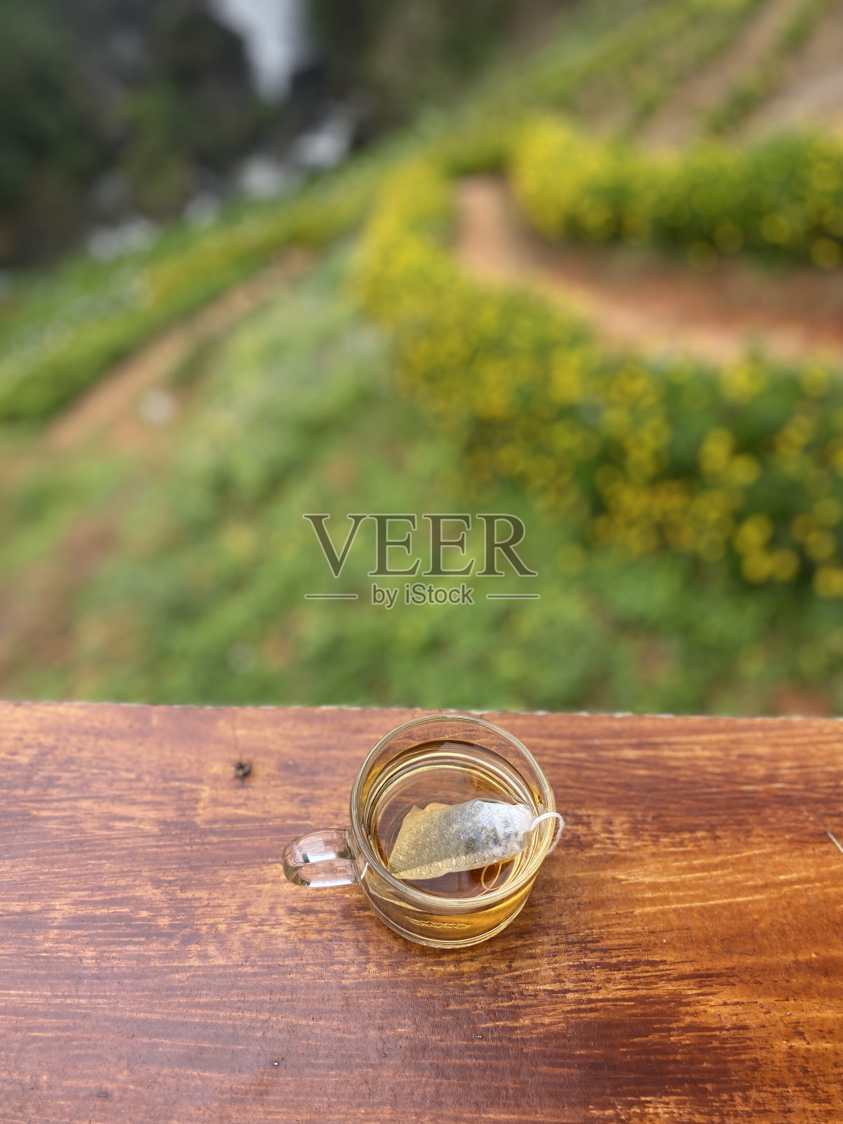 早上喝杯热茶照片摄影图片