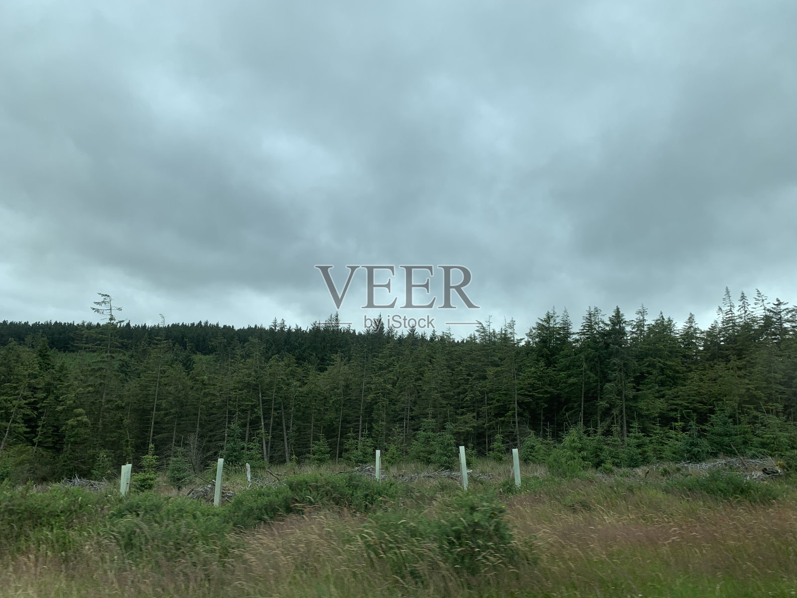 爱尔兰威克洛山脉照片摄影图片