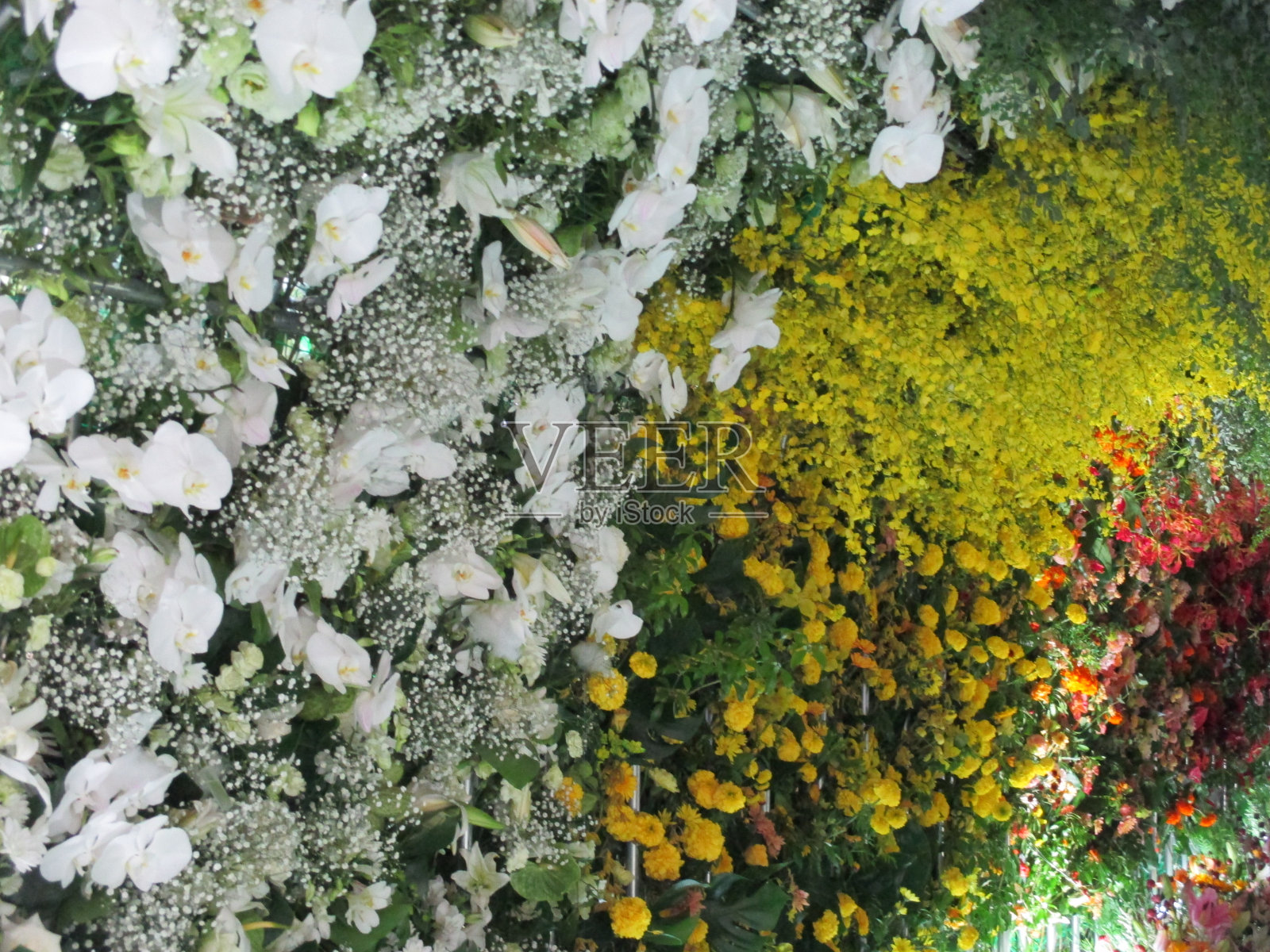 用美丽的秋花装饰的彩色物品照片摄影图片