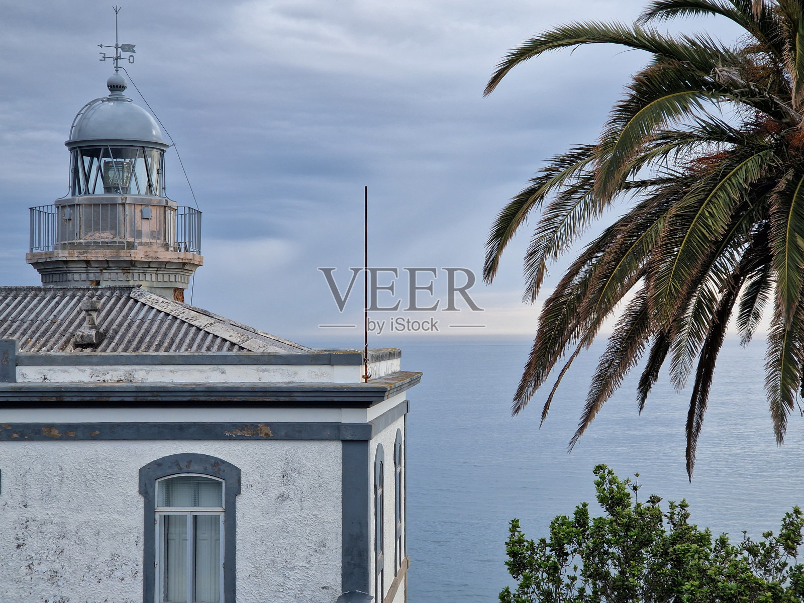 阿斯图里亚斯灯塔前的棕榈树，在比斯开湾的岩石海岸照片摄影图片