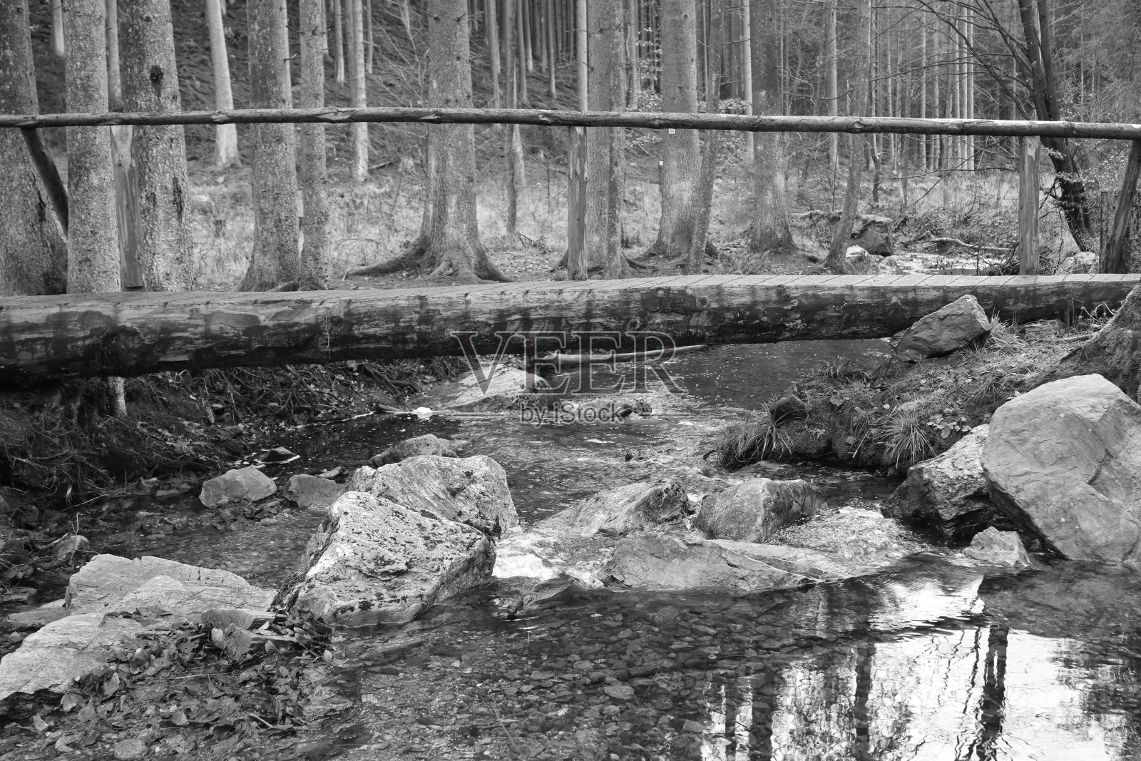 Hunsrueck-Hochwald国家公园照片摄影图片