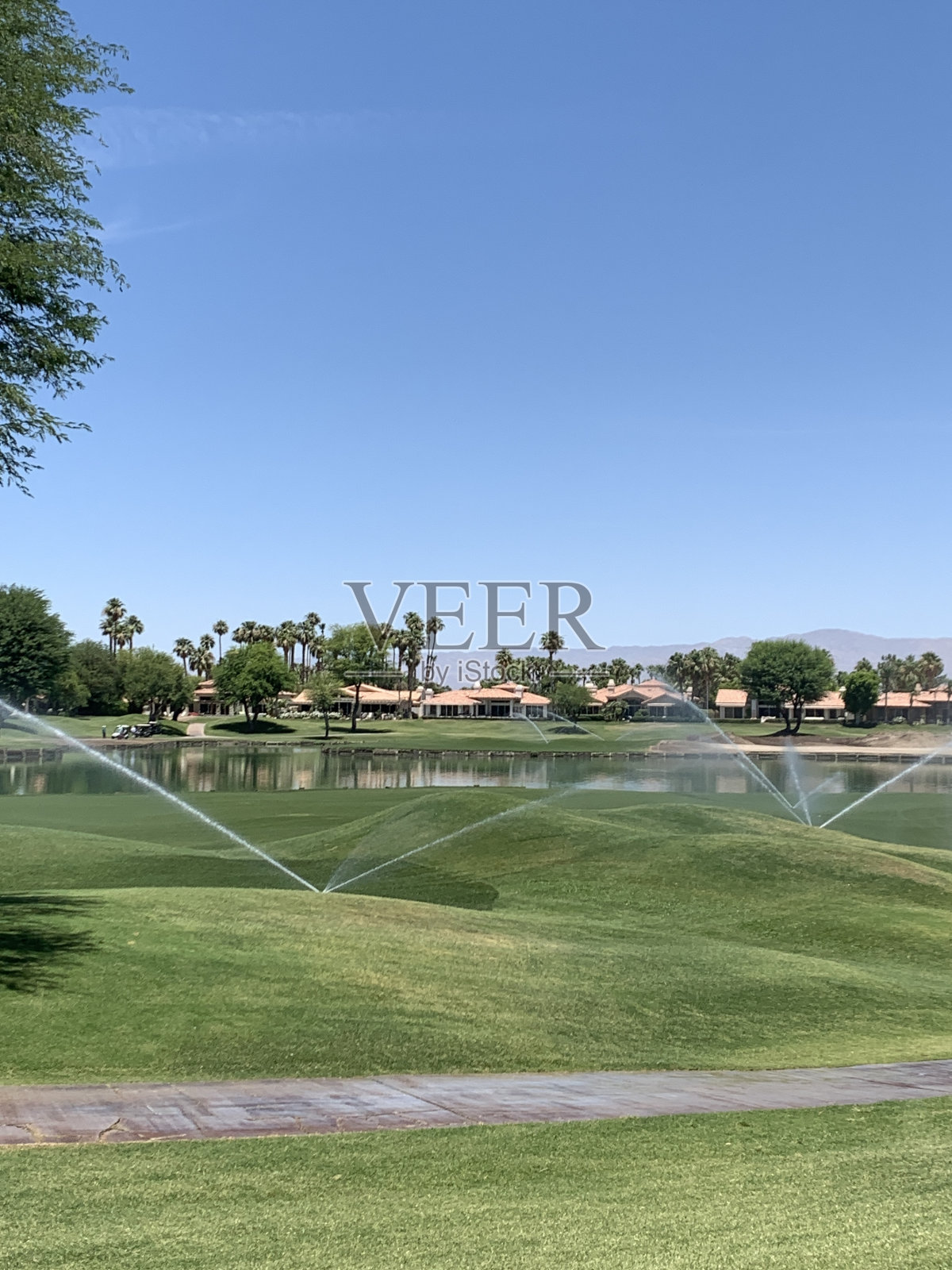 绿草照片摄影图片