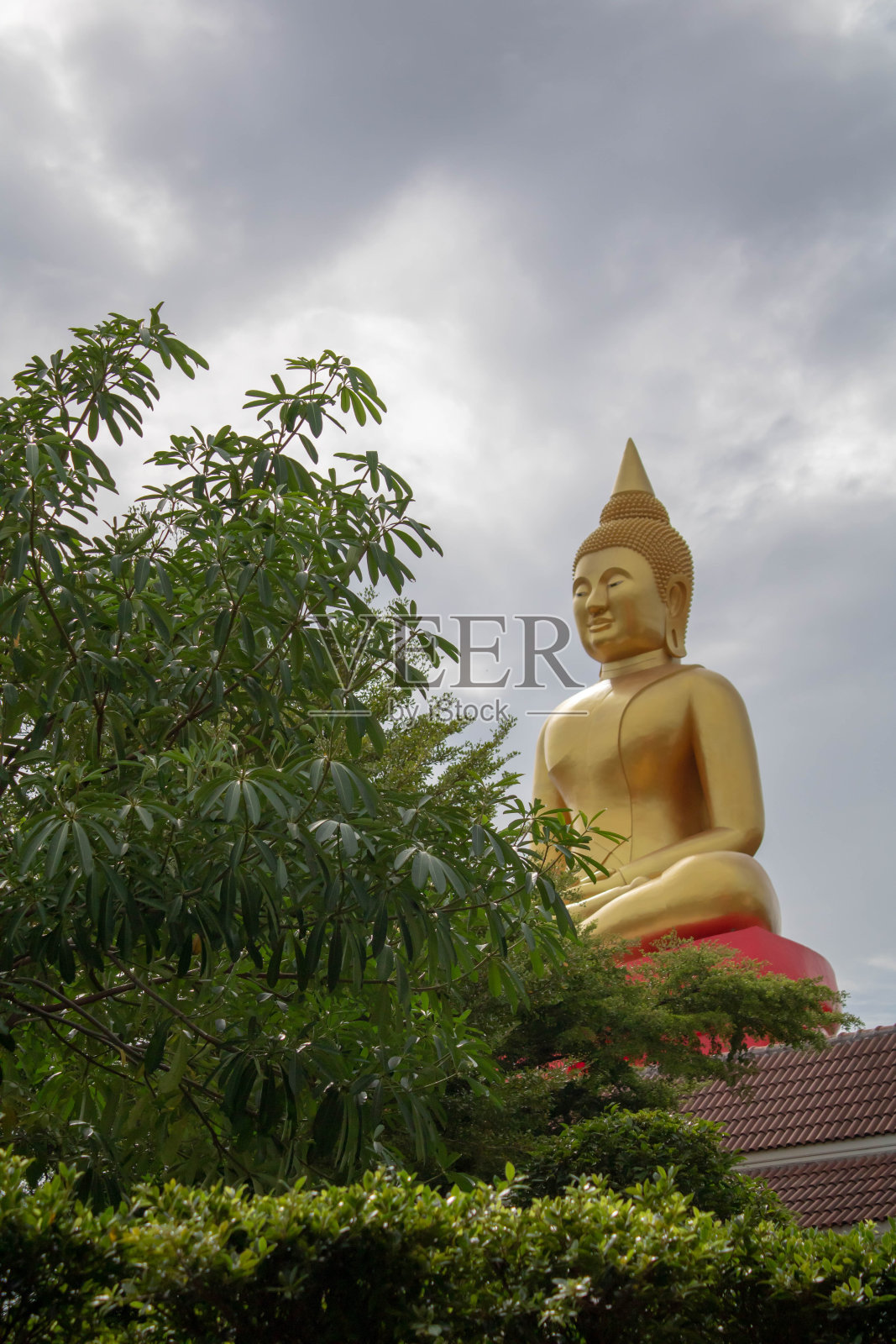 佛祖在泰国视野开阔照片摄影图片