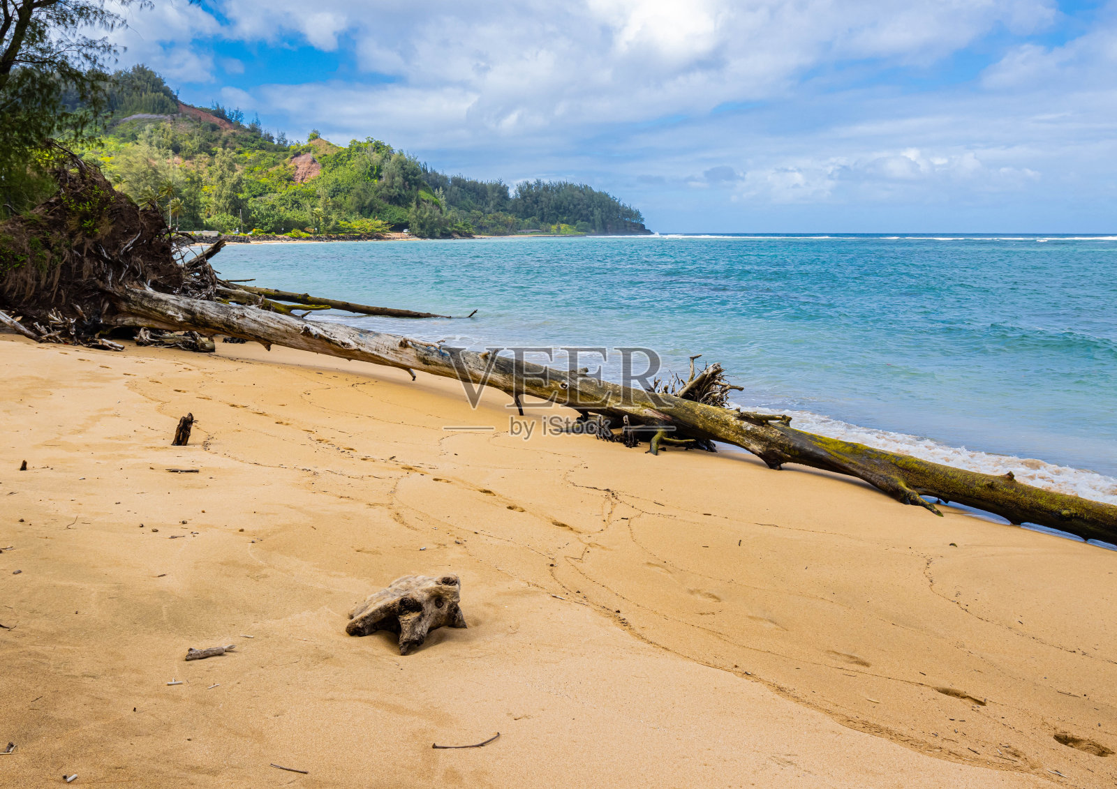 哈纳雷海滩上的浮木照片摄影图片
