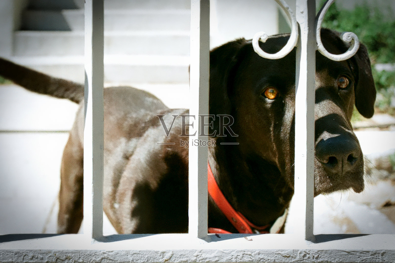 日落高地实验室照片摄影图片