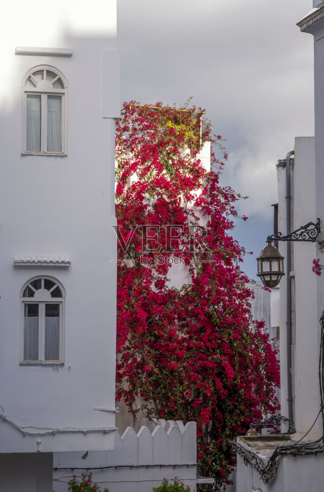 摩洛哥丹吉尔历史中心Kasbah的白色小巷照片摄影图片