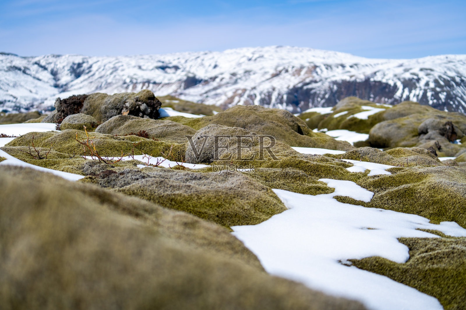 埃尔德劳恩附近长满苔藓的熔岩地被雪覆盖着照片摄影图片