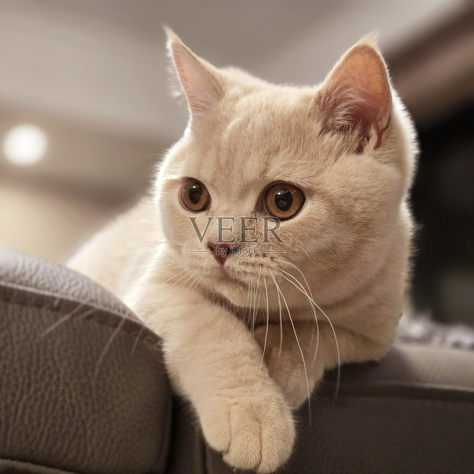 等着你照片摄影图片