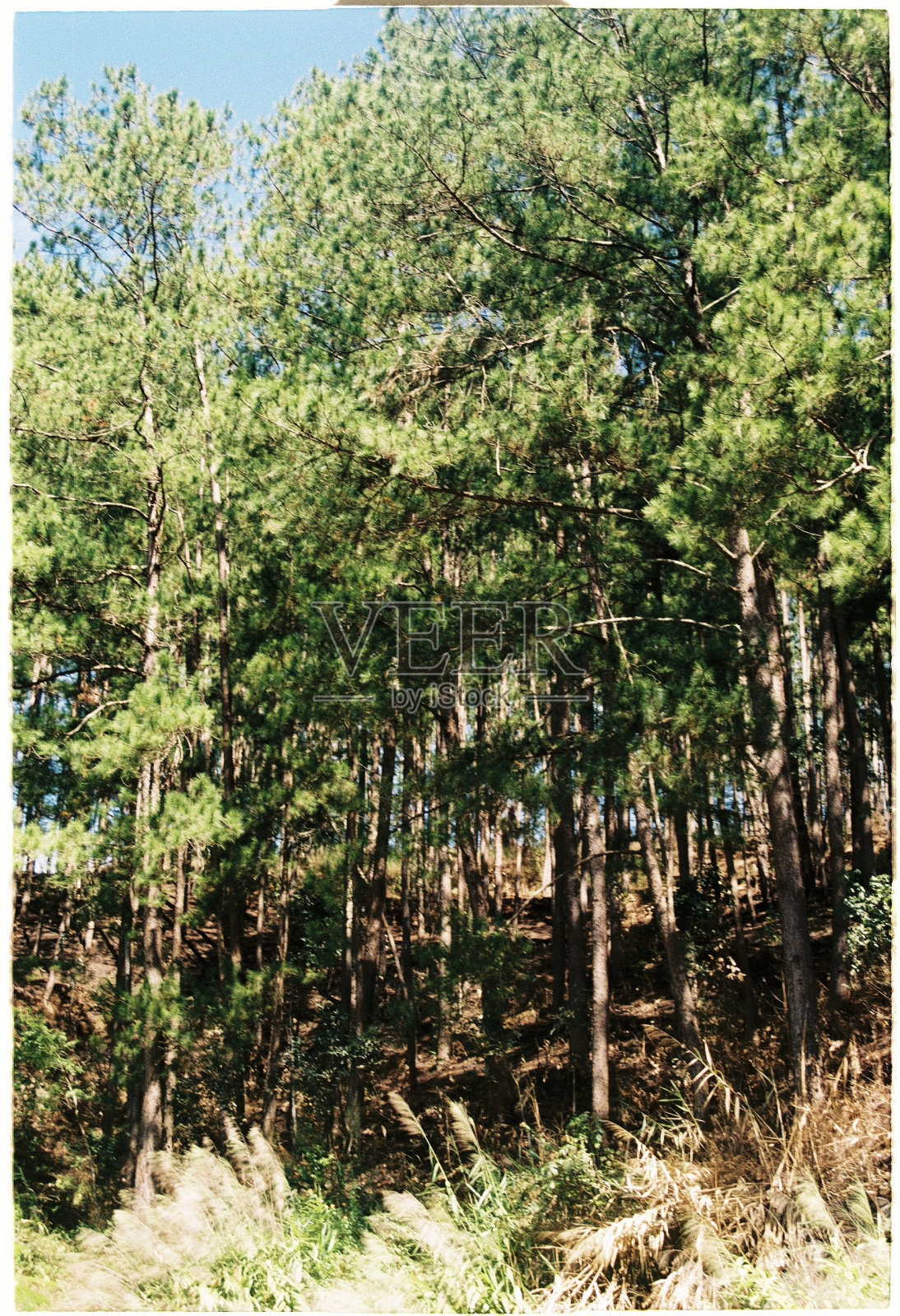 电影照片是不编辑的照片摄影图片