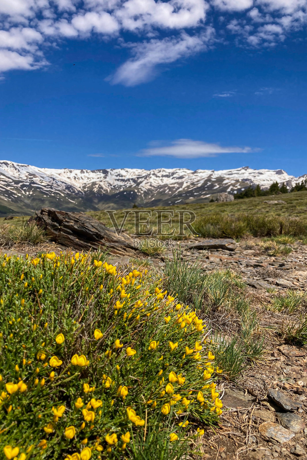 春天通往穆拉森峰的山路上雪山的广阔景色照片摄影图片