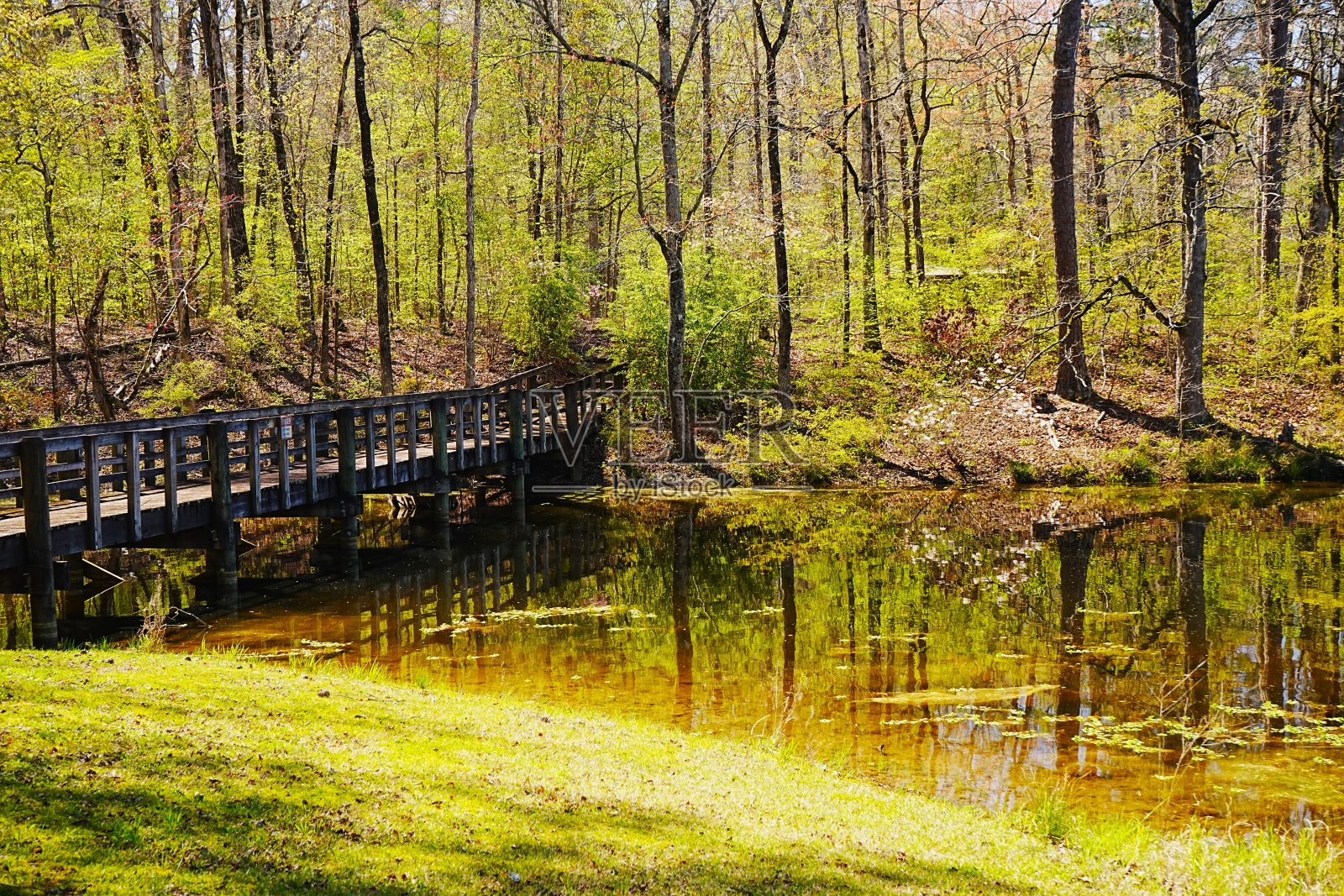 美丽的小径和风景镇溪露营地在汤比比河密西西比河照片摄影图片