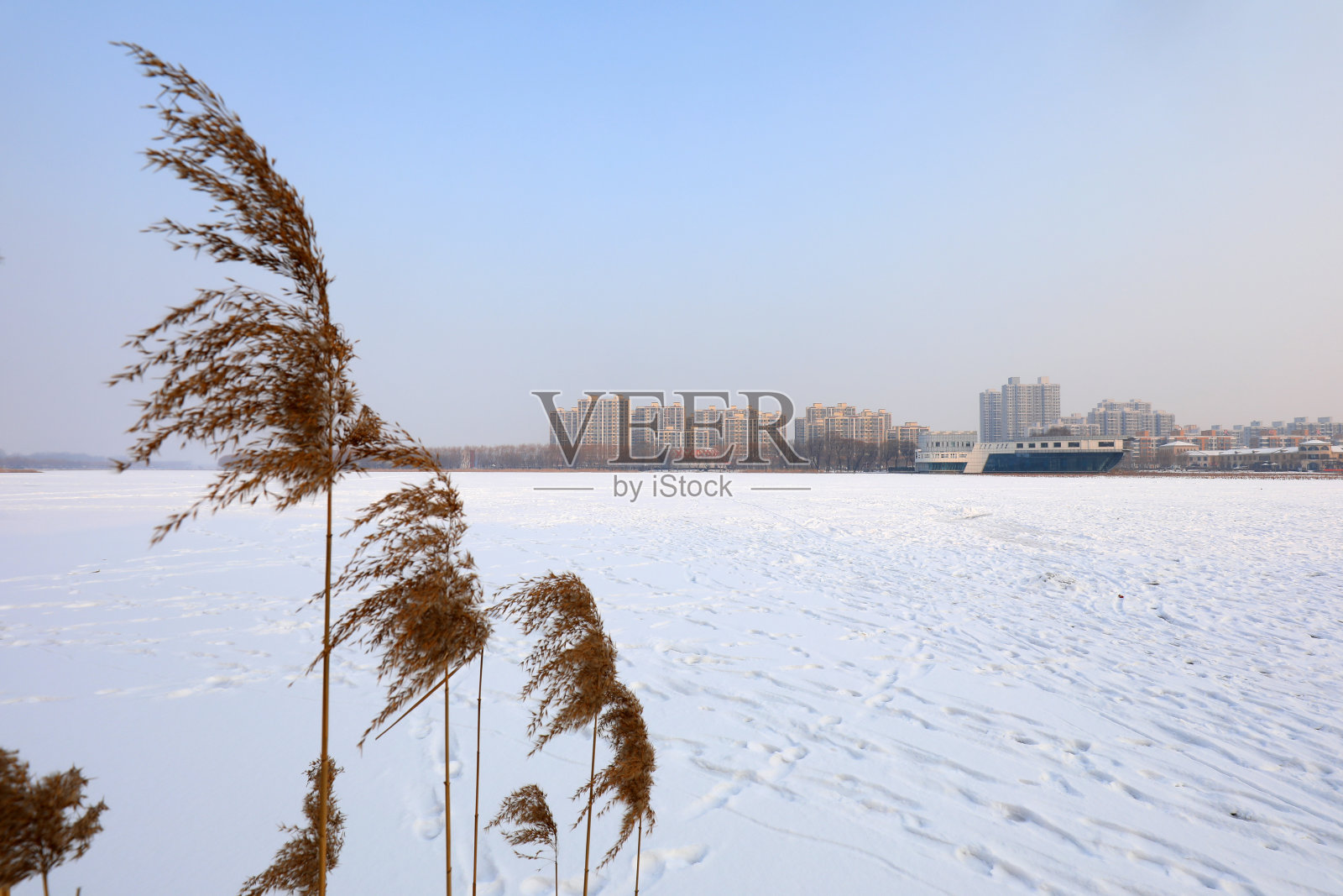 滨水城雪景，华北照片摄影图片