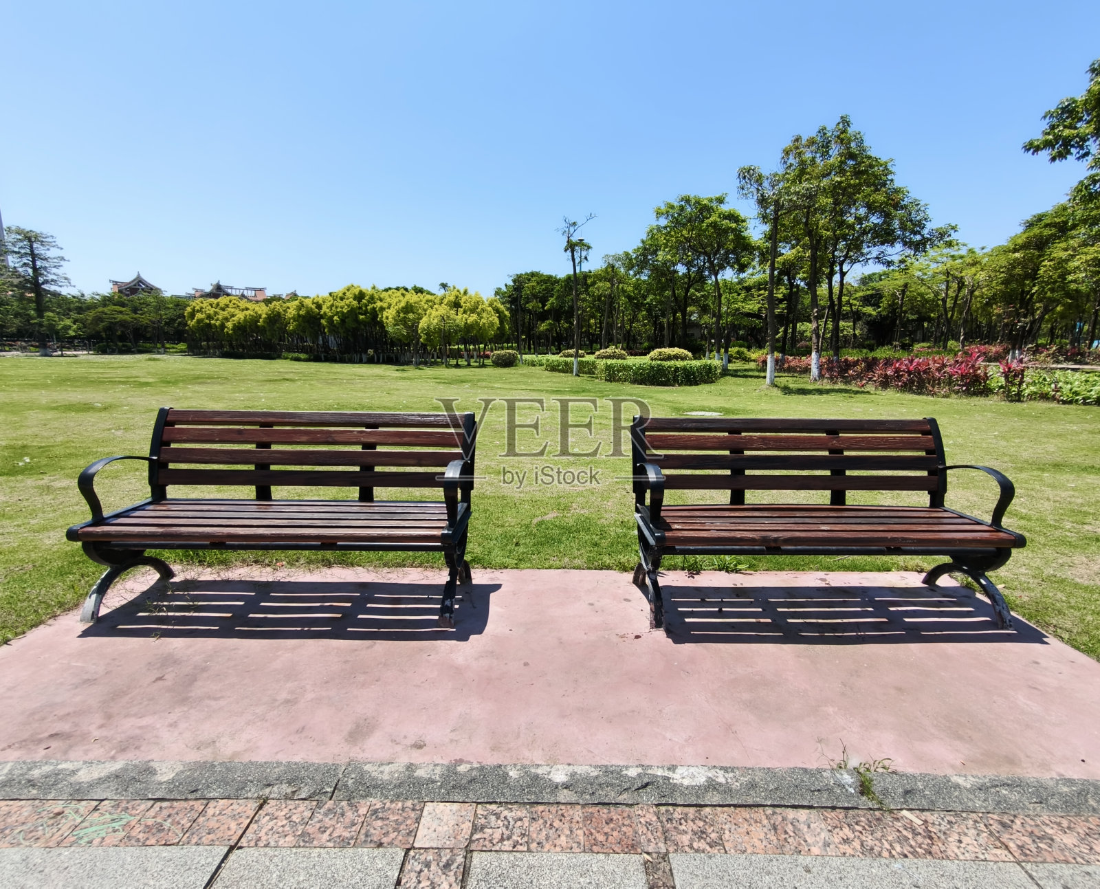 在公园的休息区安置草坪和树木照片摄影图片