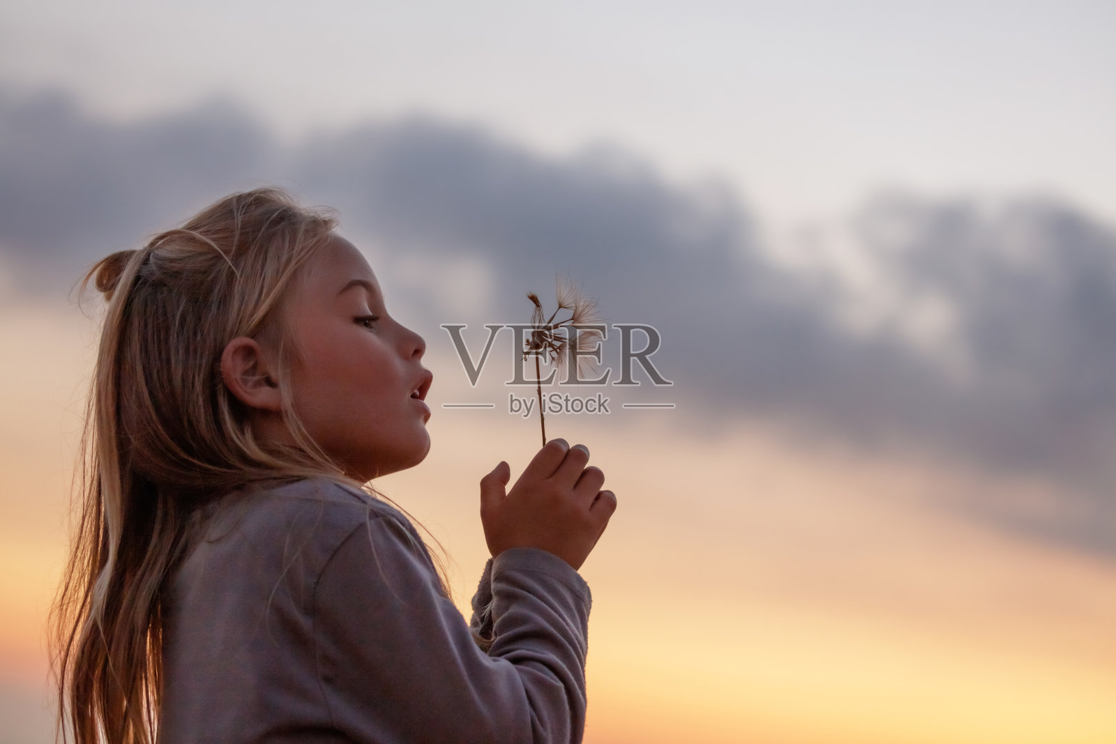 手持蒲公英的可爱男孩照片摄影图片