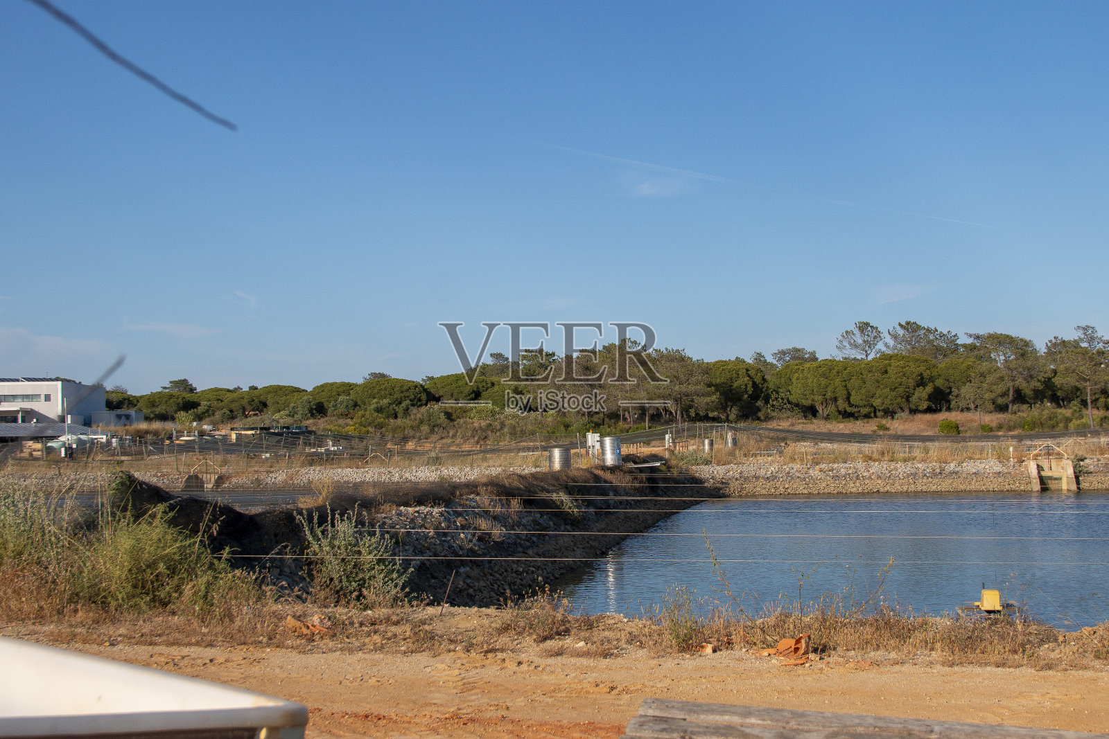 位于欧洲大西洋海岸沼泽地的养鱼场，在那里可以看到螃蟹和机会主义的食腐鸟。照片摄影图片