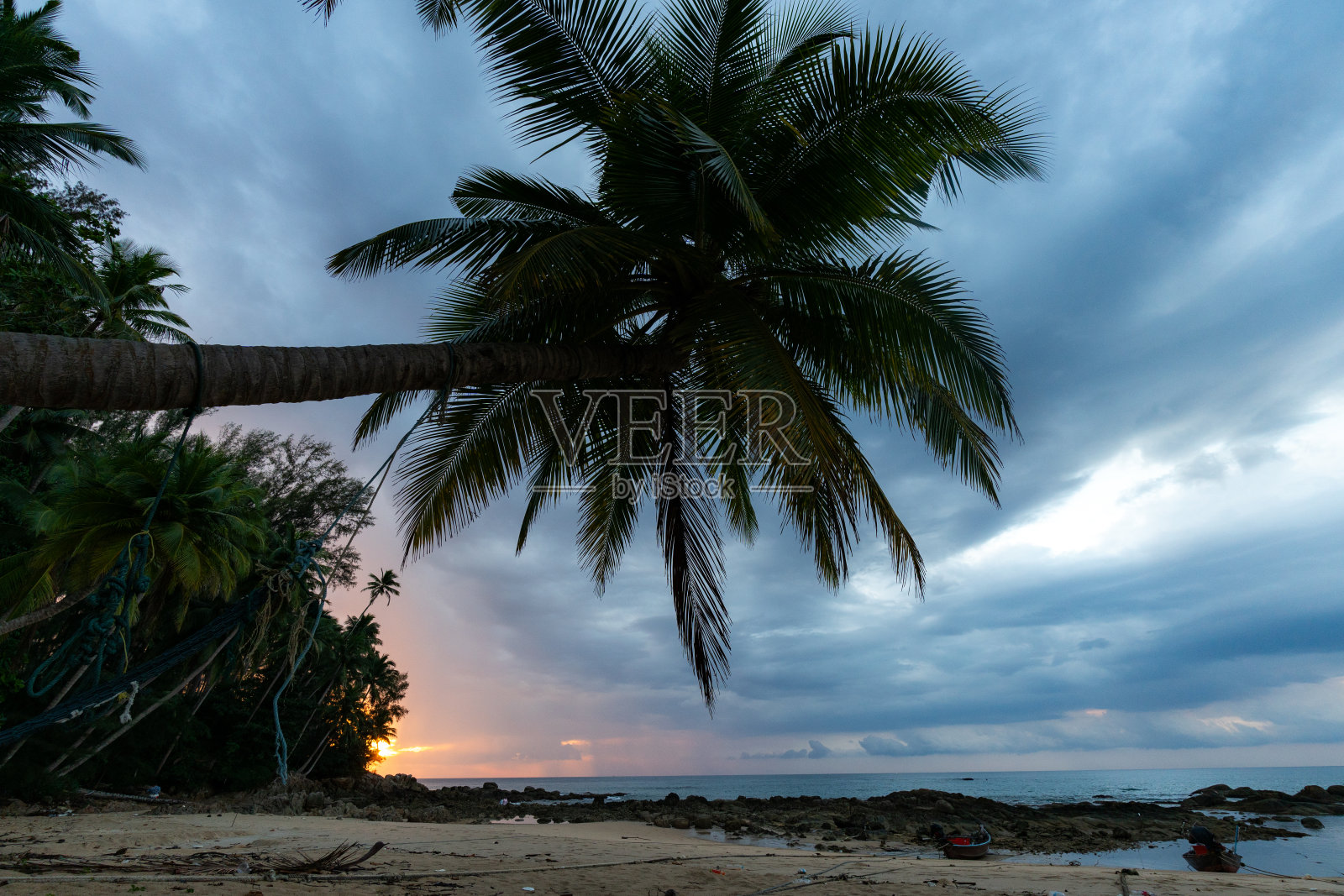 强风吹着摇篮下的椰子树在海滩上照片摄影图片