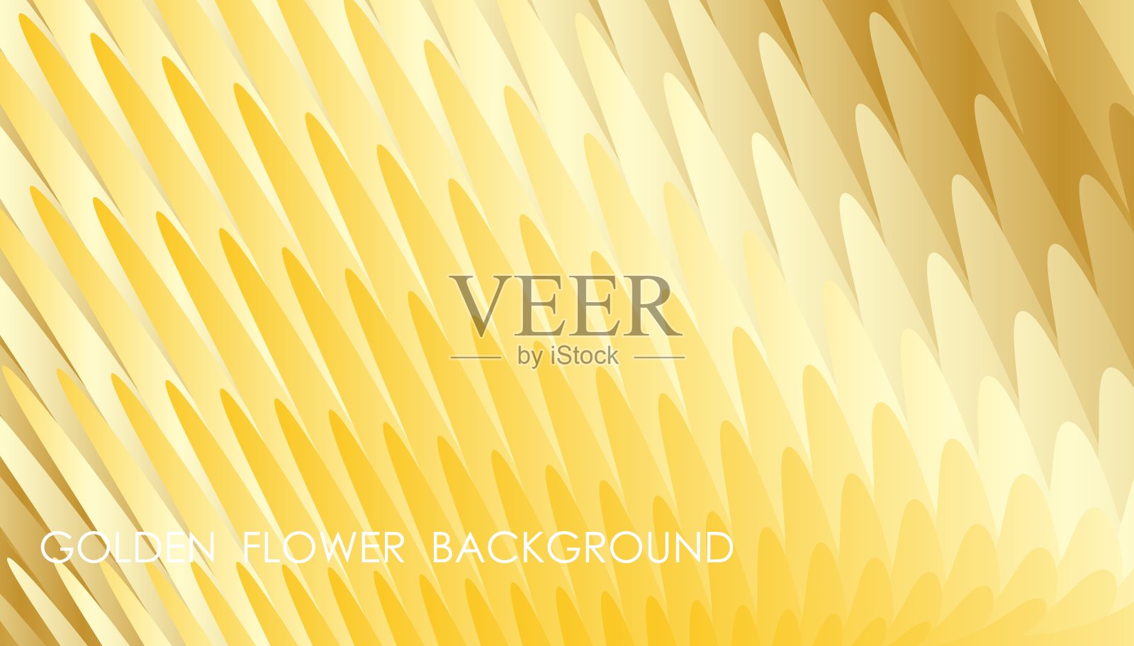 水平金色花瓣抽象背景与宏观开花植物，覆盖，网站呈现在高清格式。互联网产品网页设计的UI模板布局。向量横幅插画图片素材