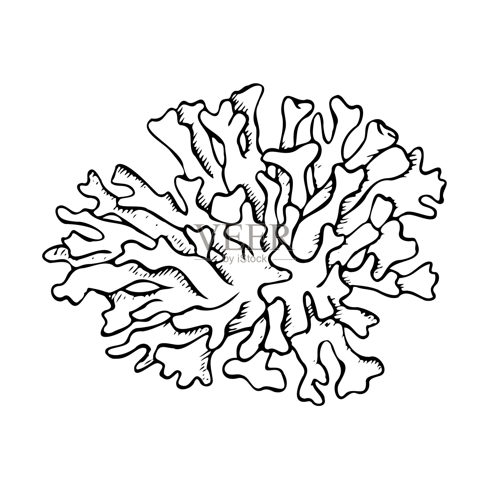 手绘单色水下珊瑚礁动物在黑色和白色，海洋和海洋水螅线条绘制海洋和航海设计插画图片素材