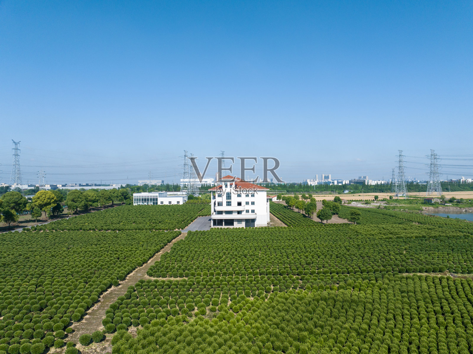 绿化园林树种栽培园照片摄影图片