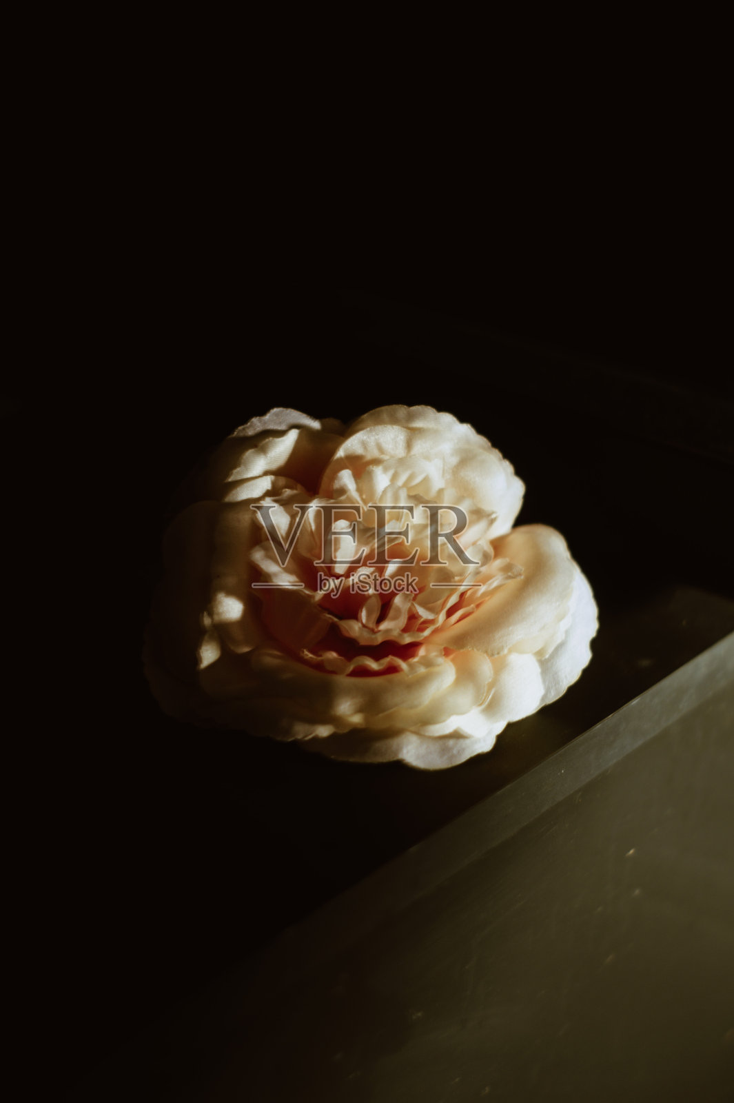 花照片摄影图片