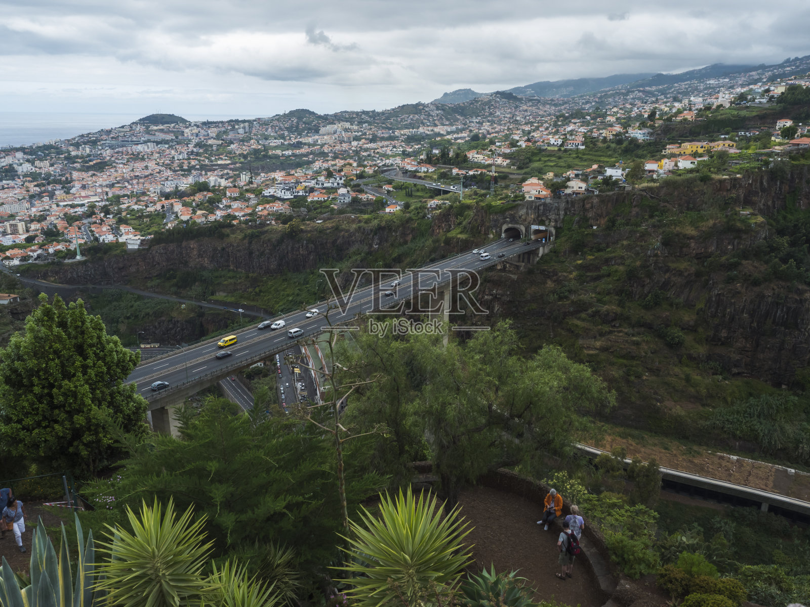 从丰沙尔镇著名的热带植物园的景色，马德拉植物园于1960年向公众开放照片摄影图片