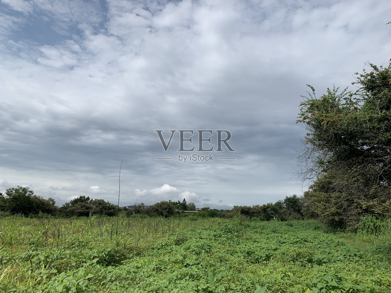 国家背景照片摄影图片