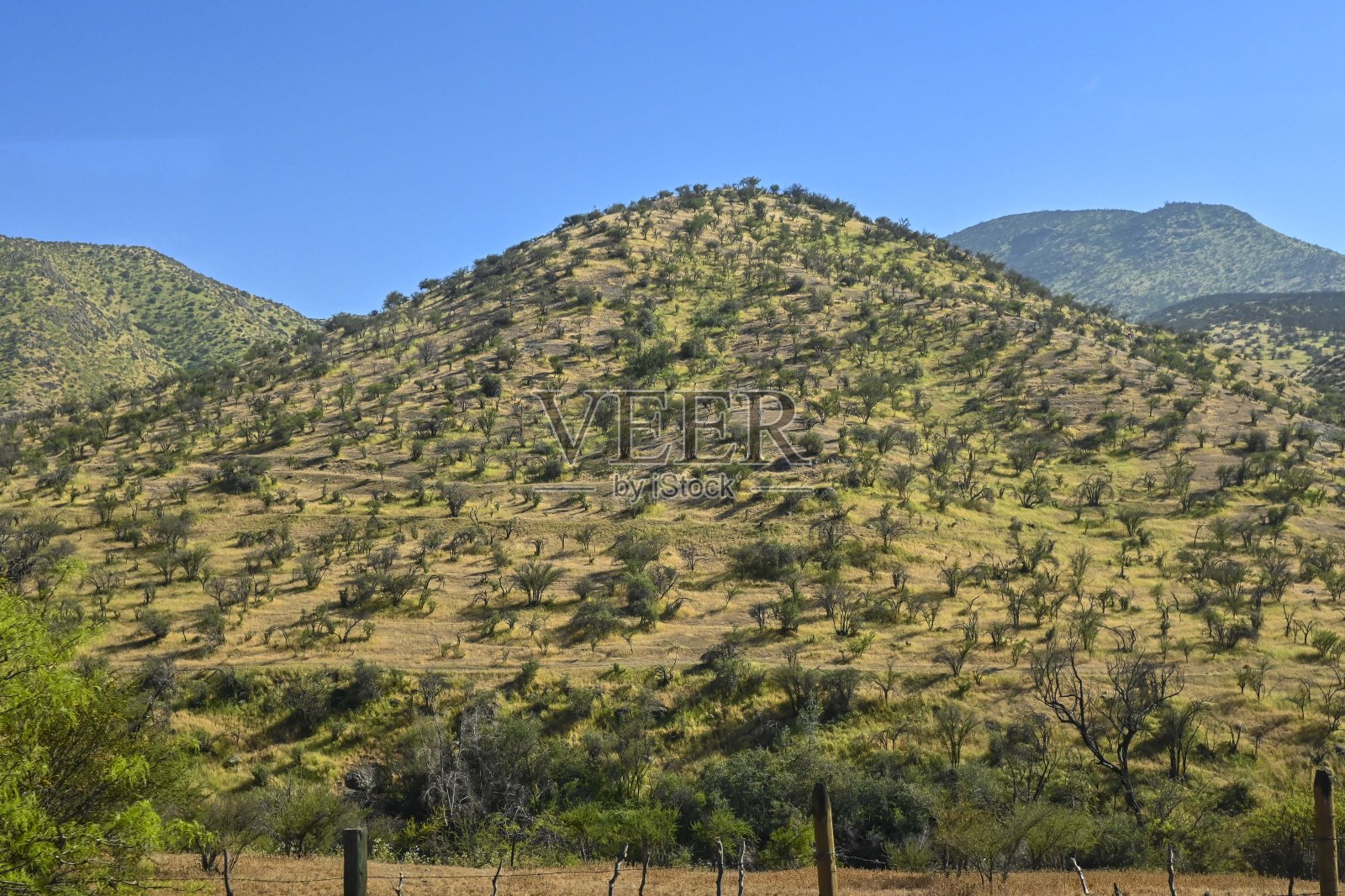 在通往波蒂略的路上看到了智利内陆的风景照片摄影图片
