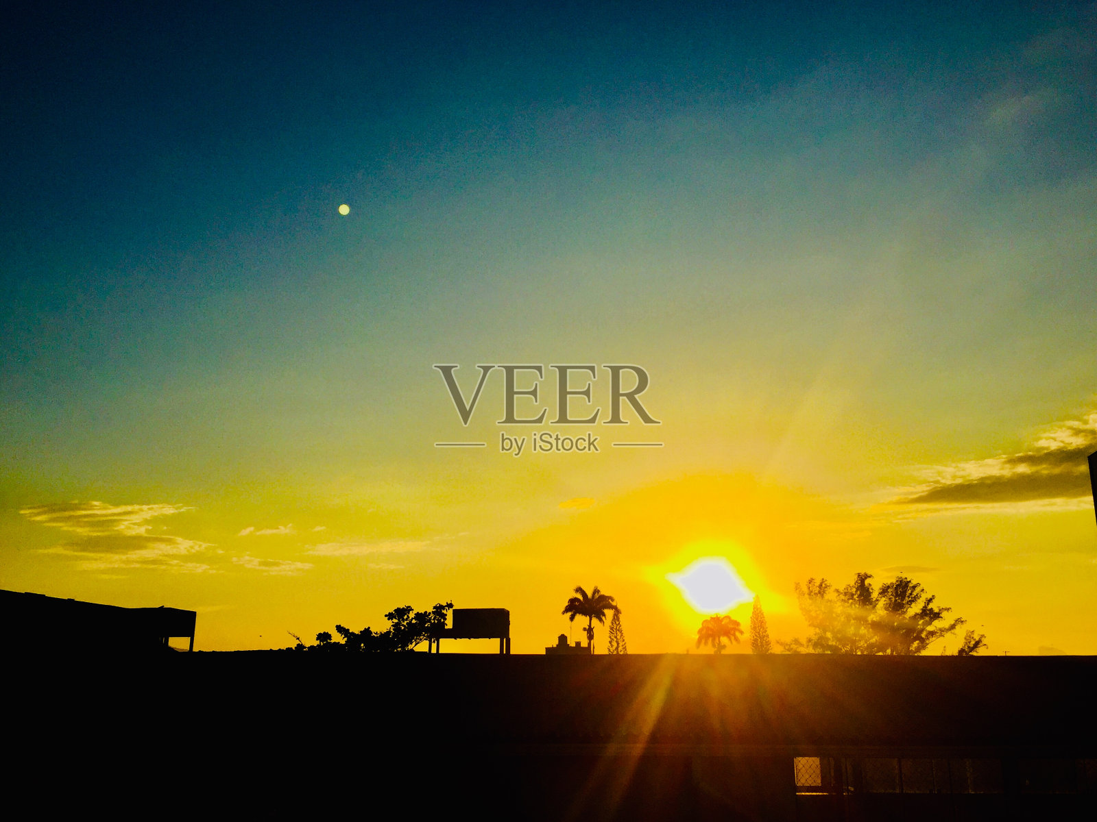 我不厌其烦地欣赏它。Bandeirantes, RJ -巴西。照片摄影图片