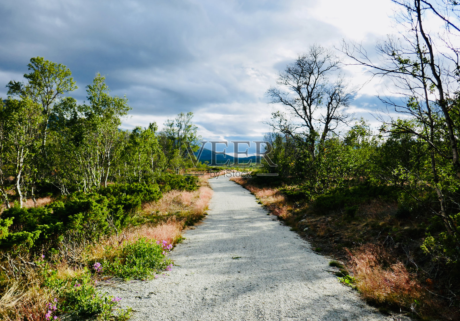 靠近赫尔金的国家公园步道照片摄影图片
