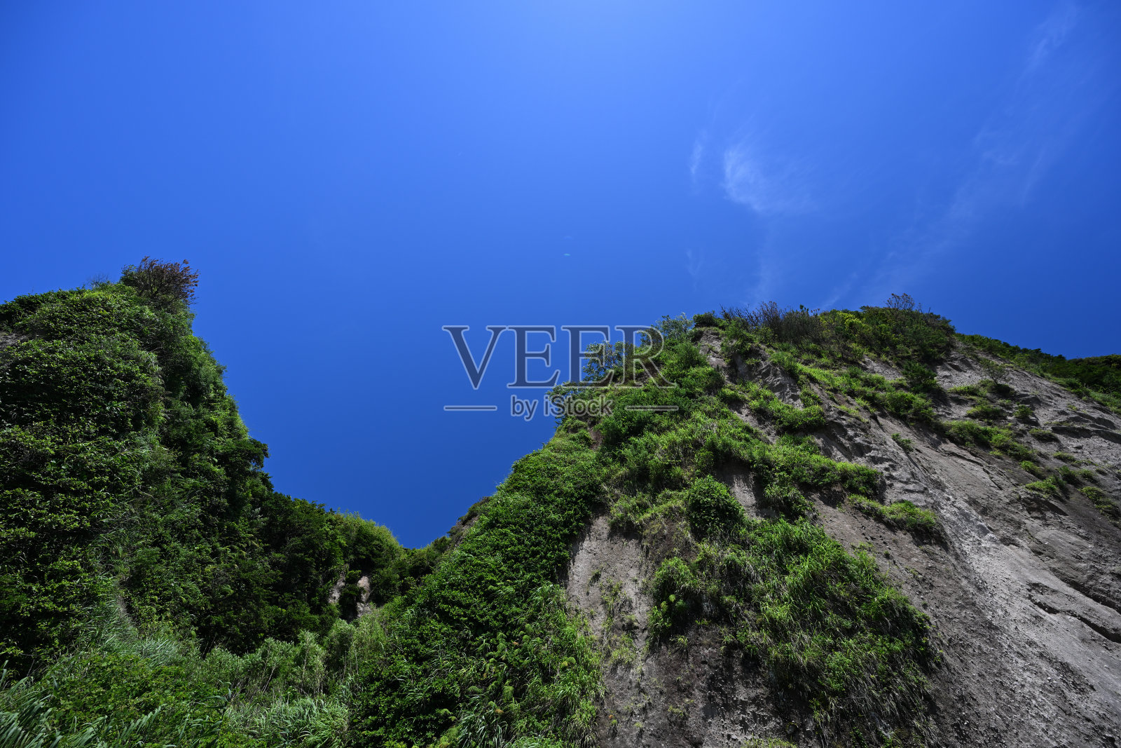 美丽的江户浜白苏高原照片摄影图片