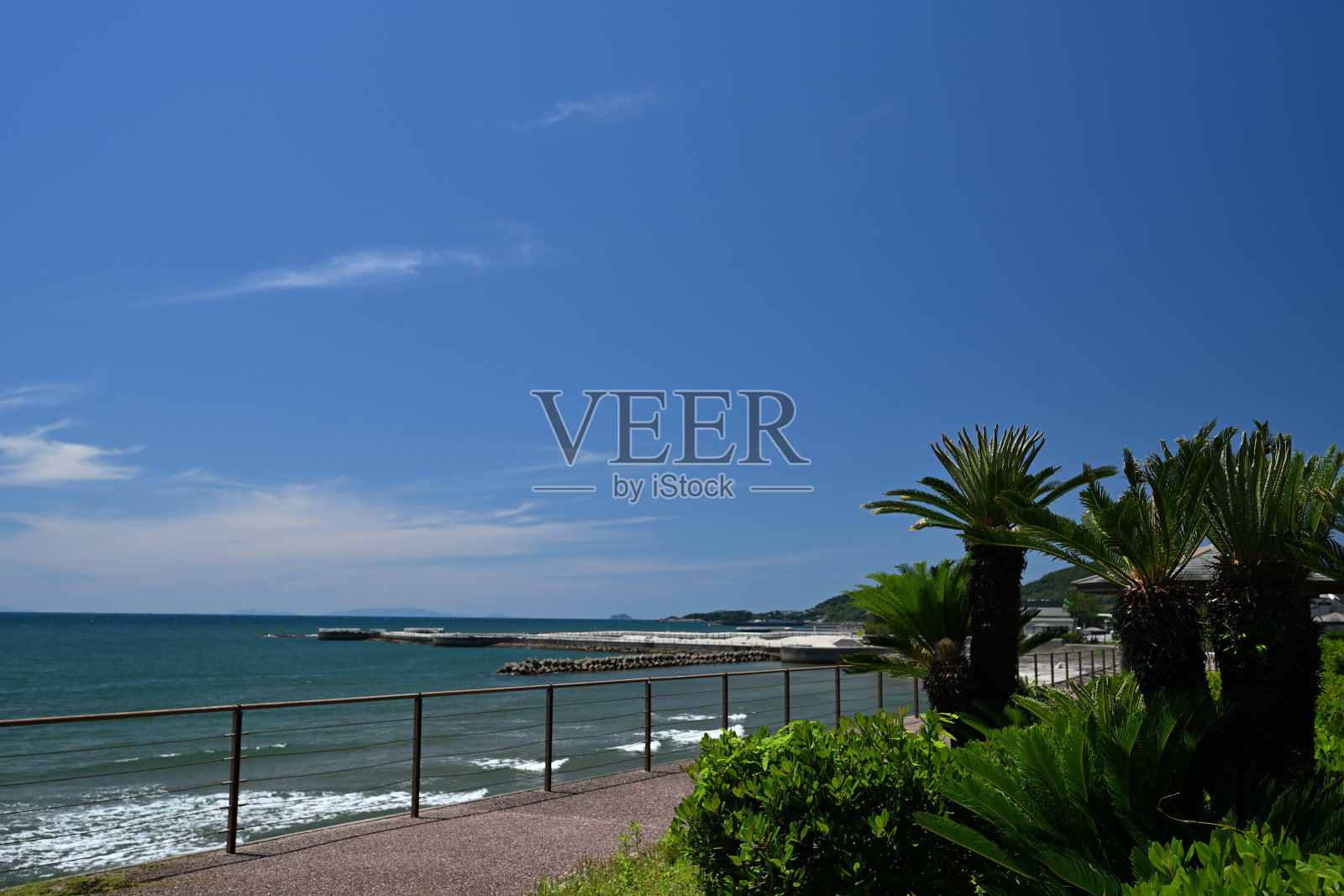 苏铁和Eguchihama海滩照片摄影图片