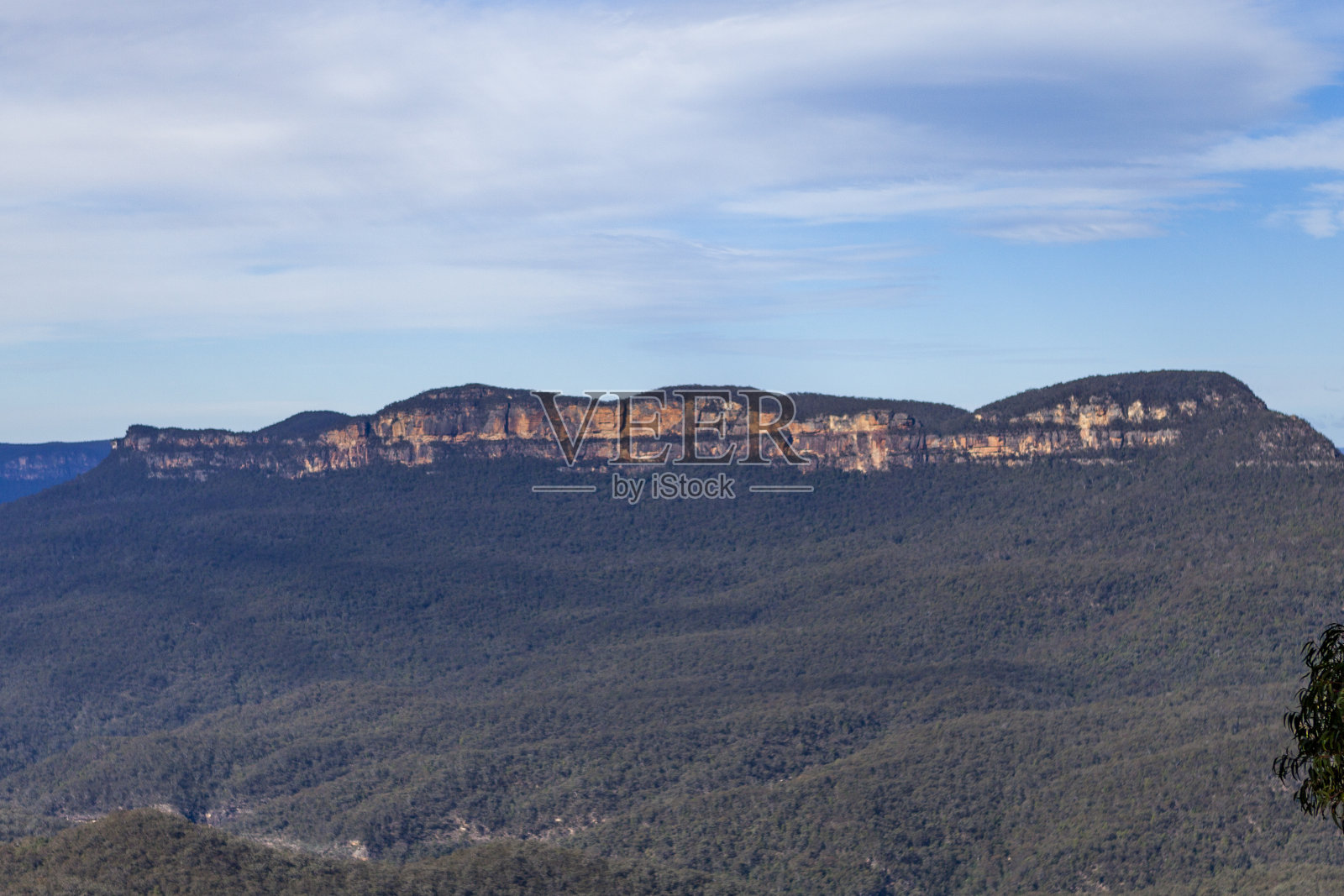 在蓝山国家公园穿越Korowal/Mt孤山照片摄影图片
