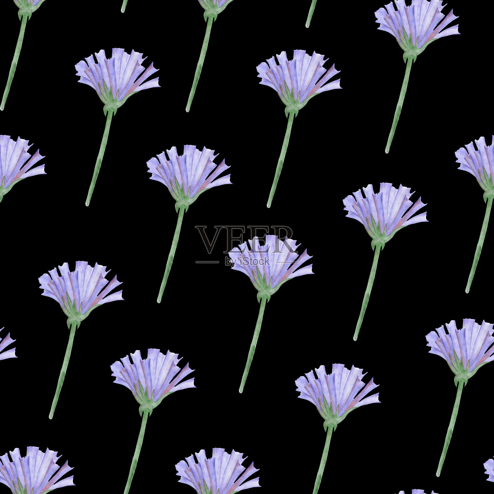 简单的矢车菊花卉无缝图案在一个黑色的背景。插画图片素材