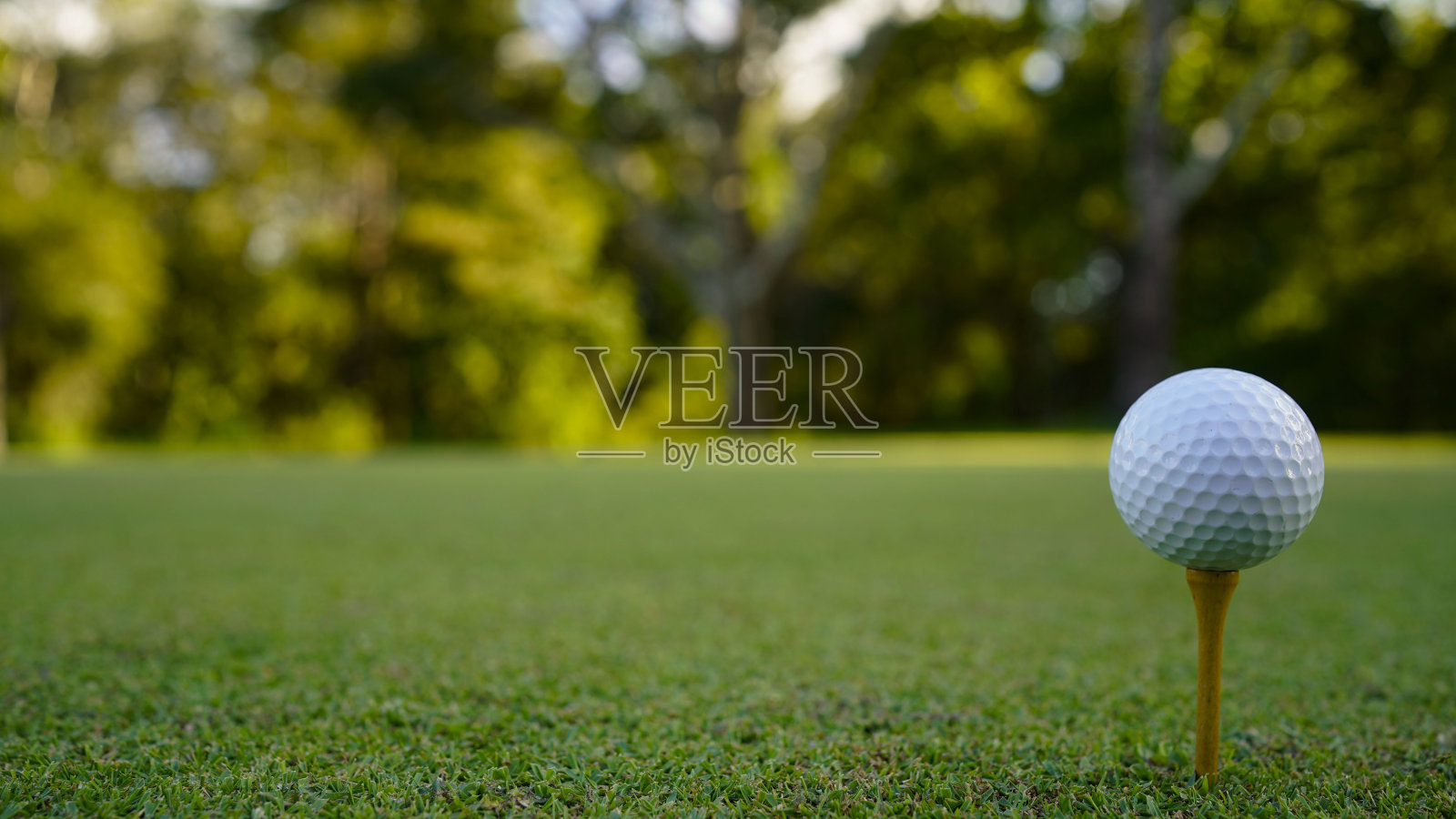 高尔夫球在美丽的高尔夫球场tee与日落。高尔夫球场上的高尔夫球特写。照片摄影图片